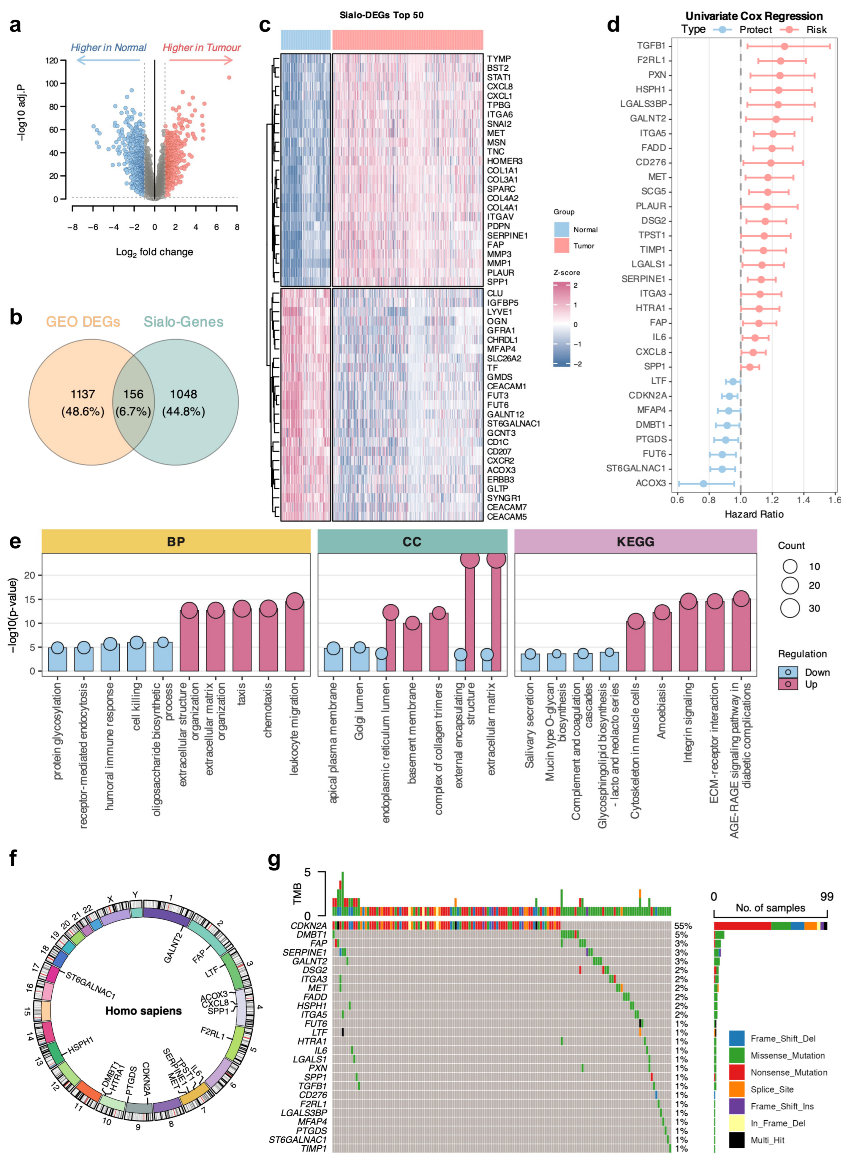 Biomedicines 14 02102 g002