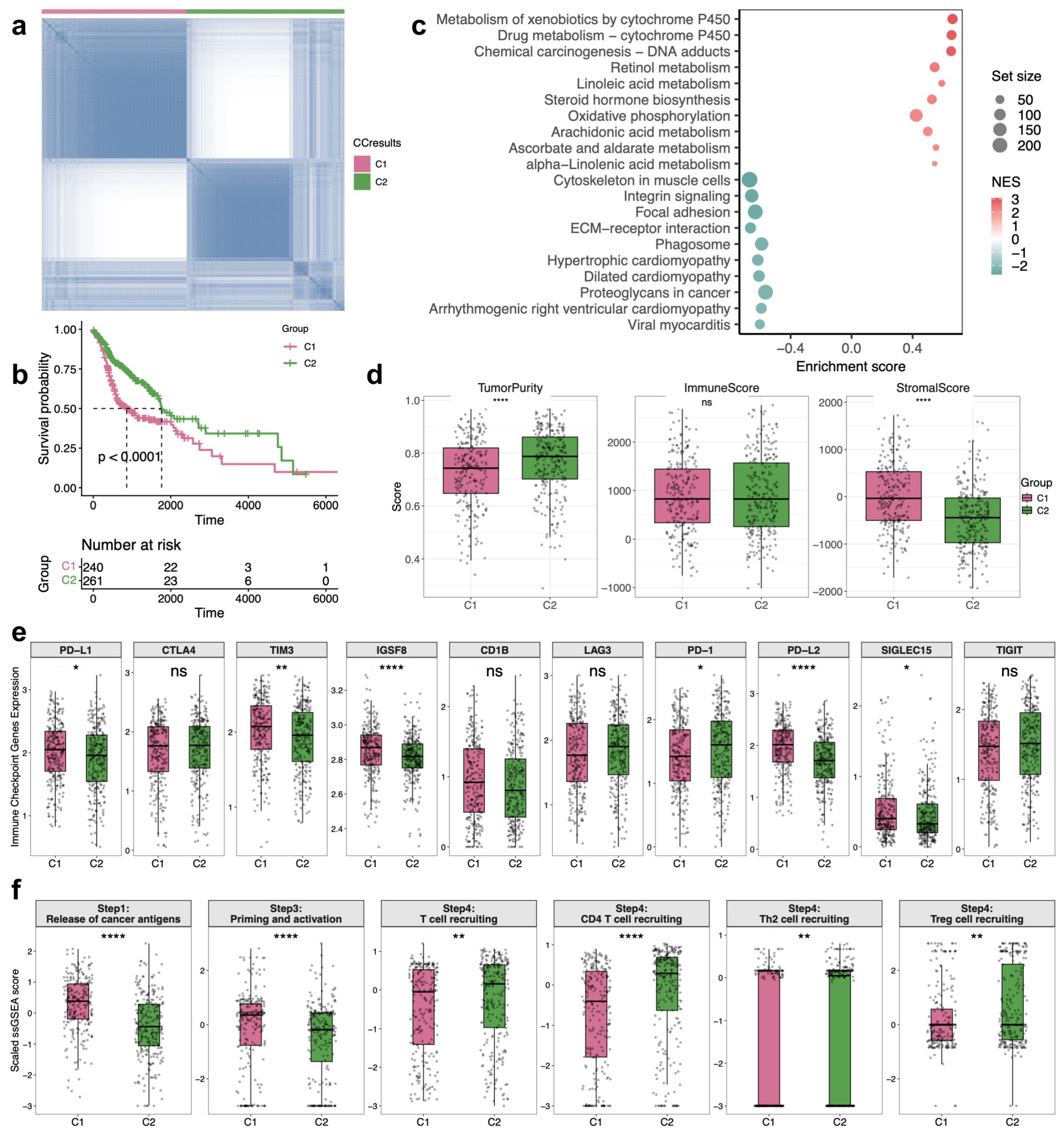 Biomedicines 14 02102 g003