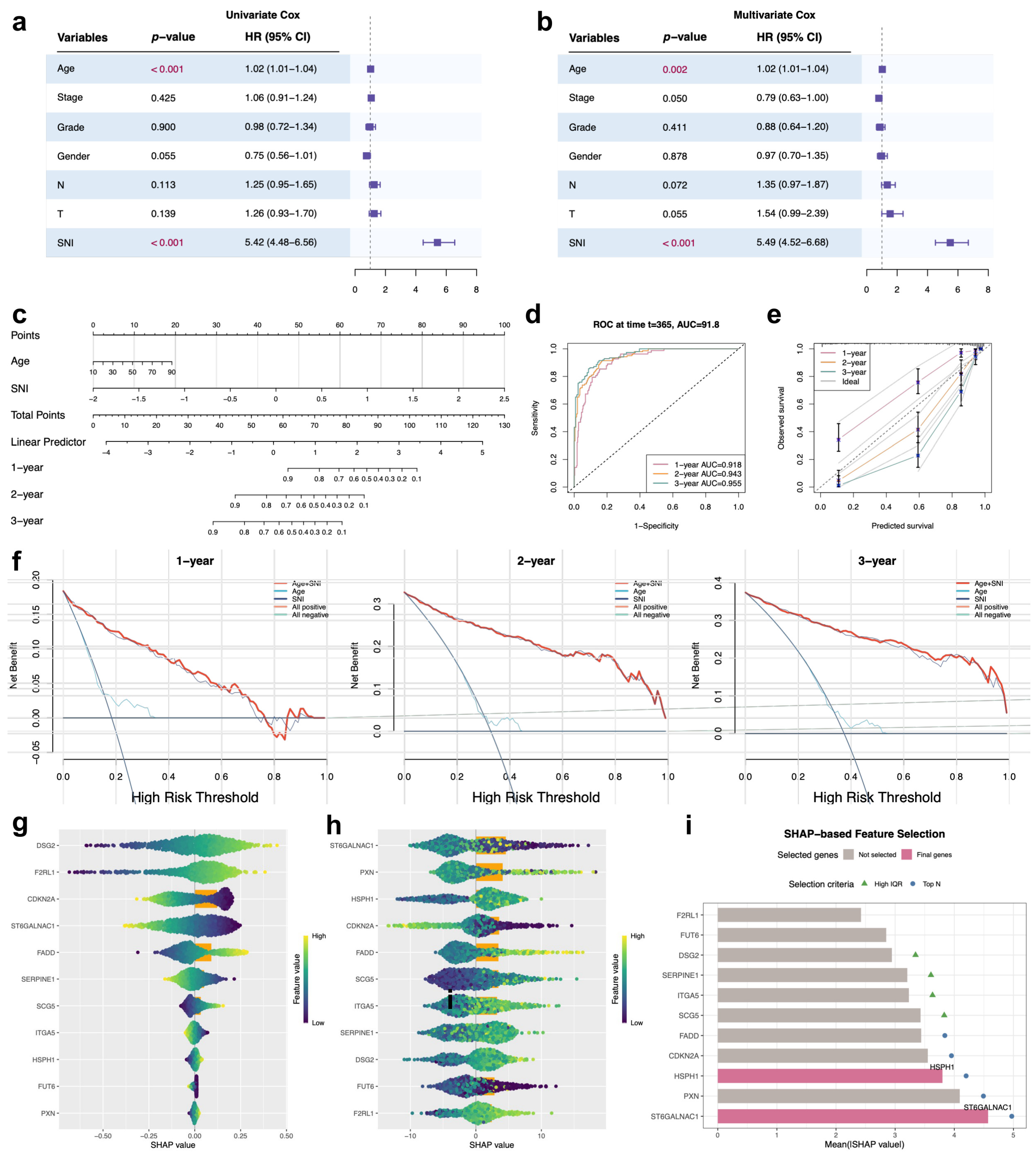 Biomedicines 14 02102 g005
