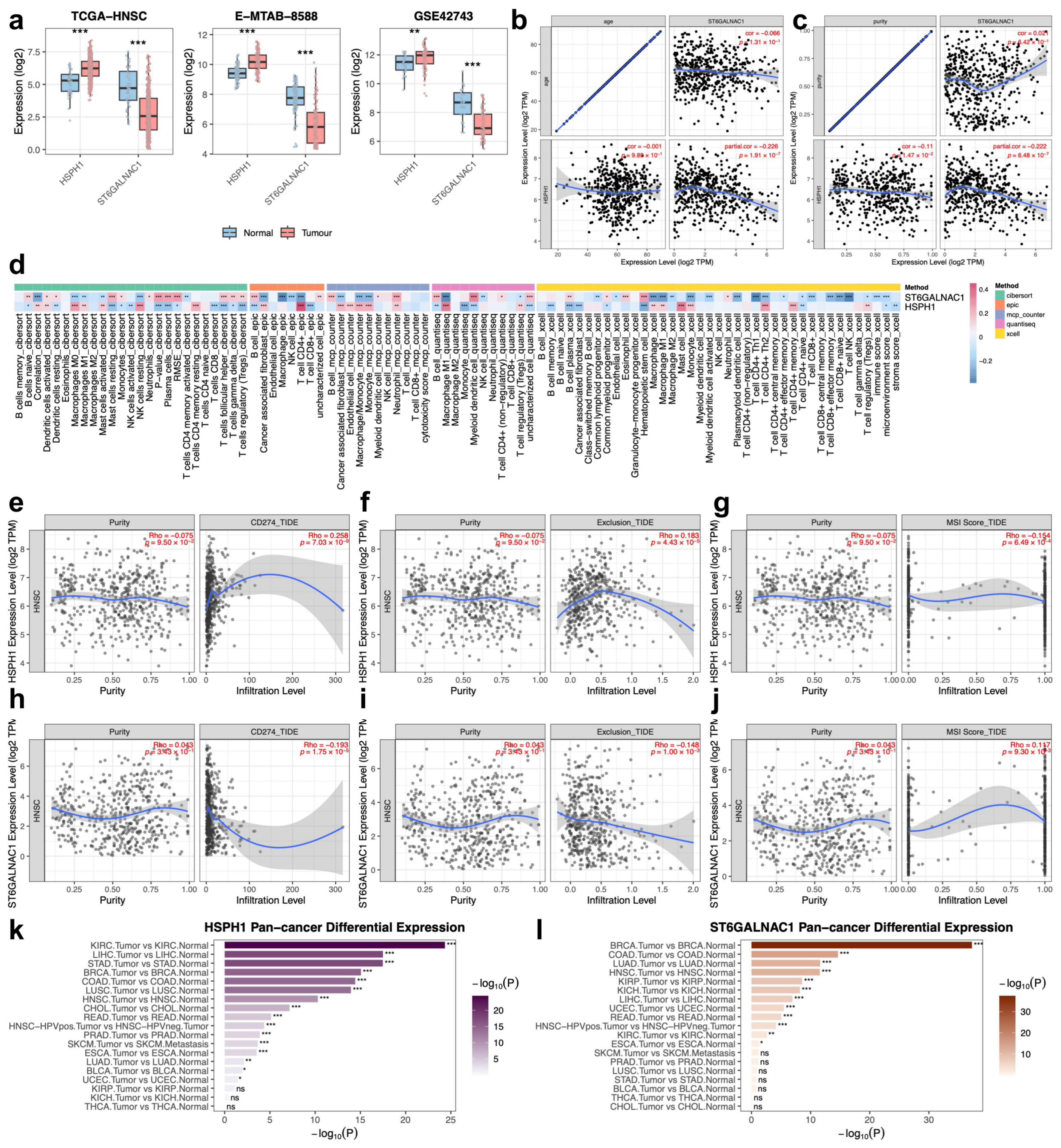 Biomedicines 14 02102 g006
