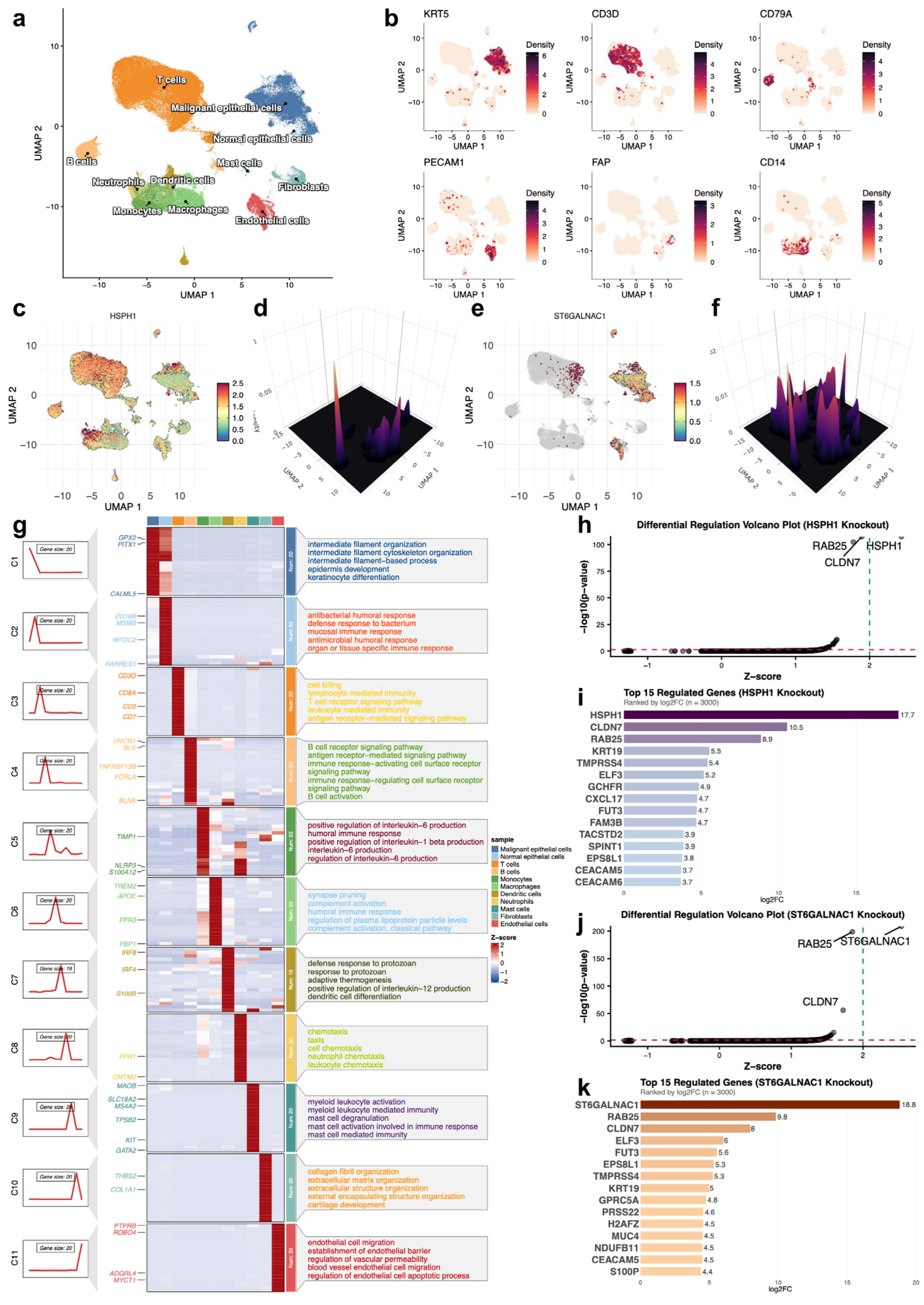 Biomedicines 14 02102 g007