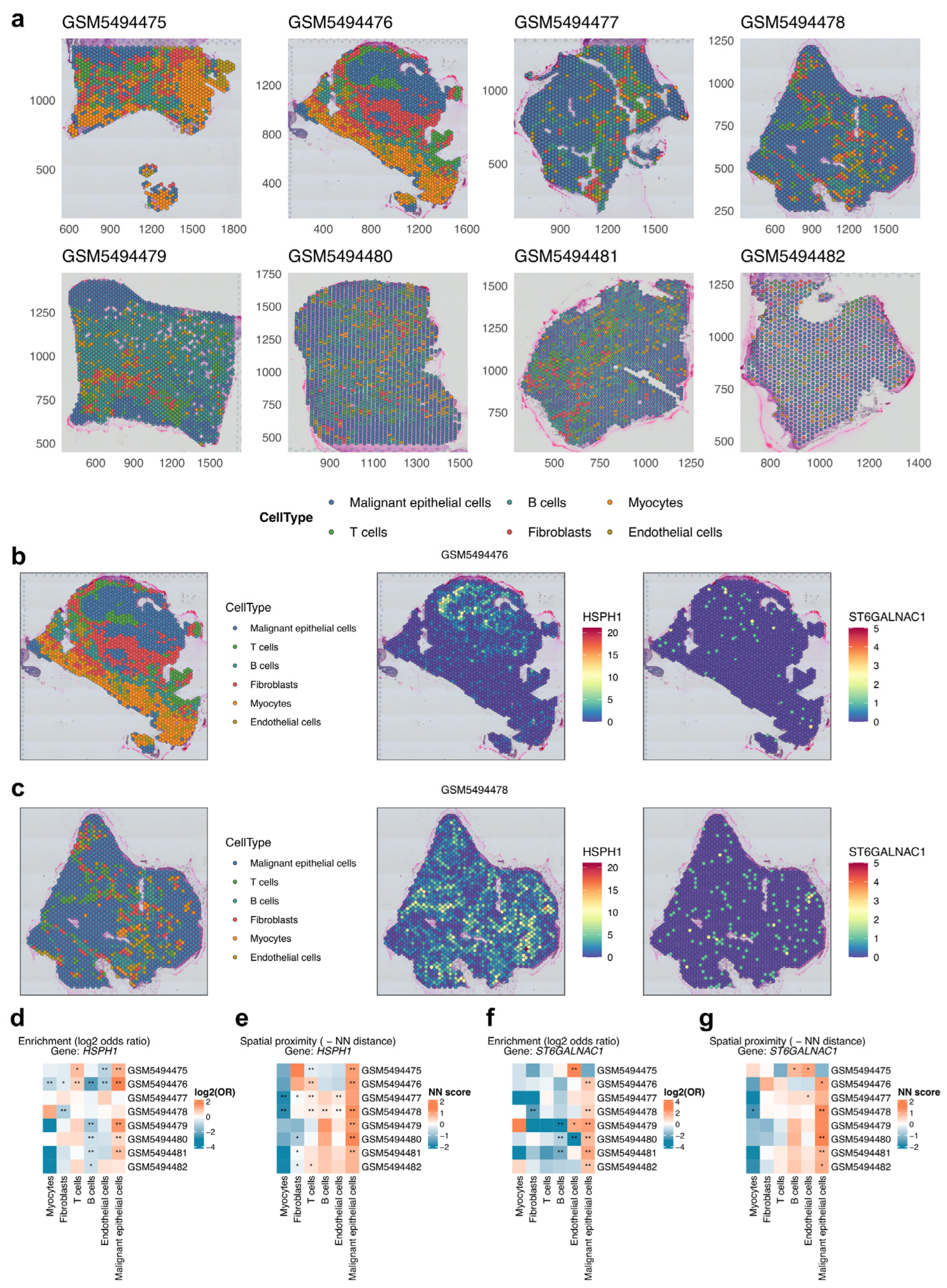 Biomedicines 14 02102 g008