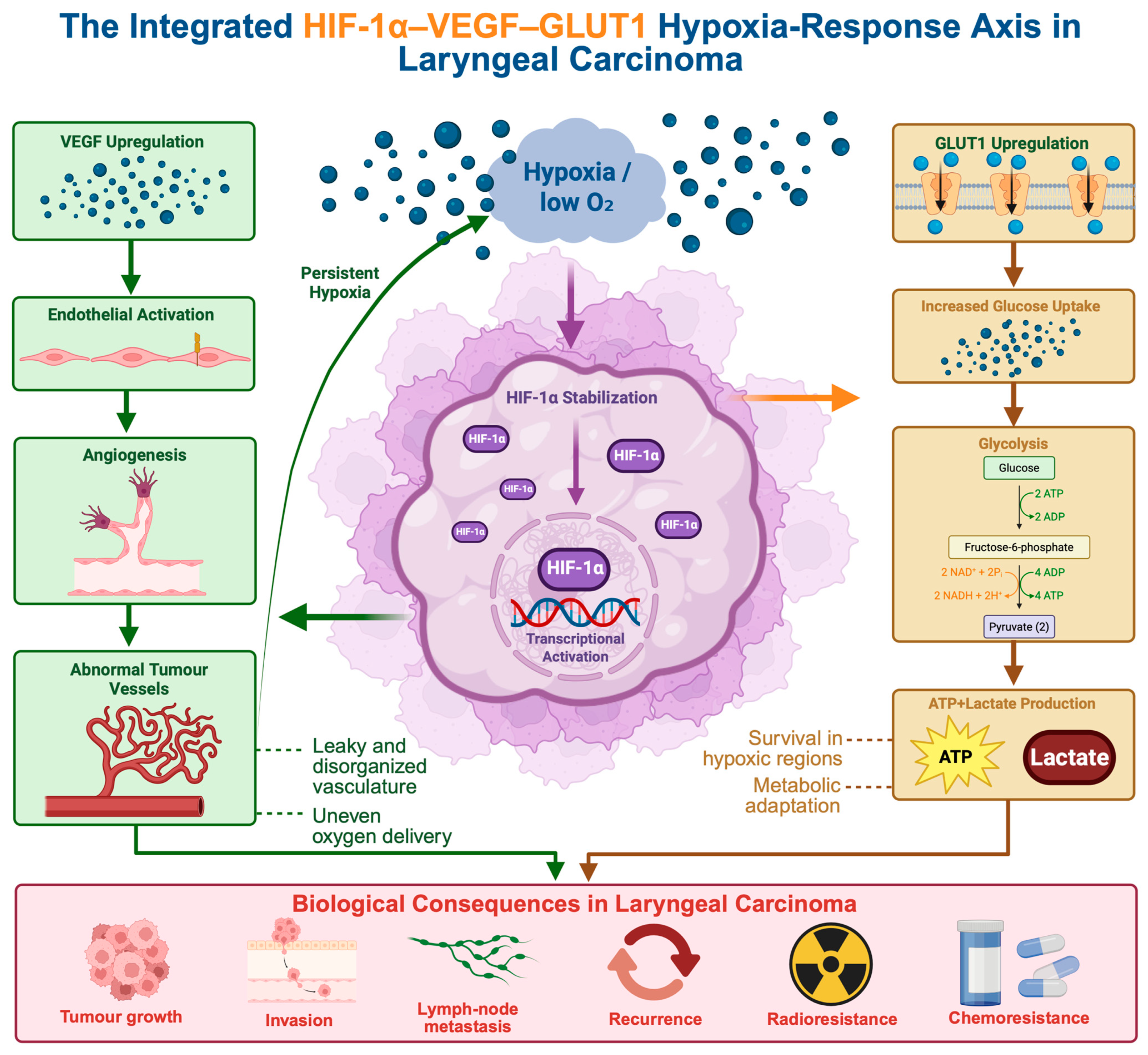 Biomedicines 14 02103 g004 Biomedicines 14 02103 g004