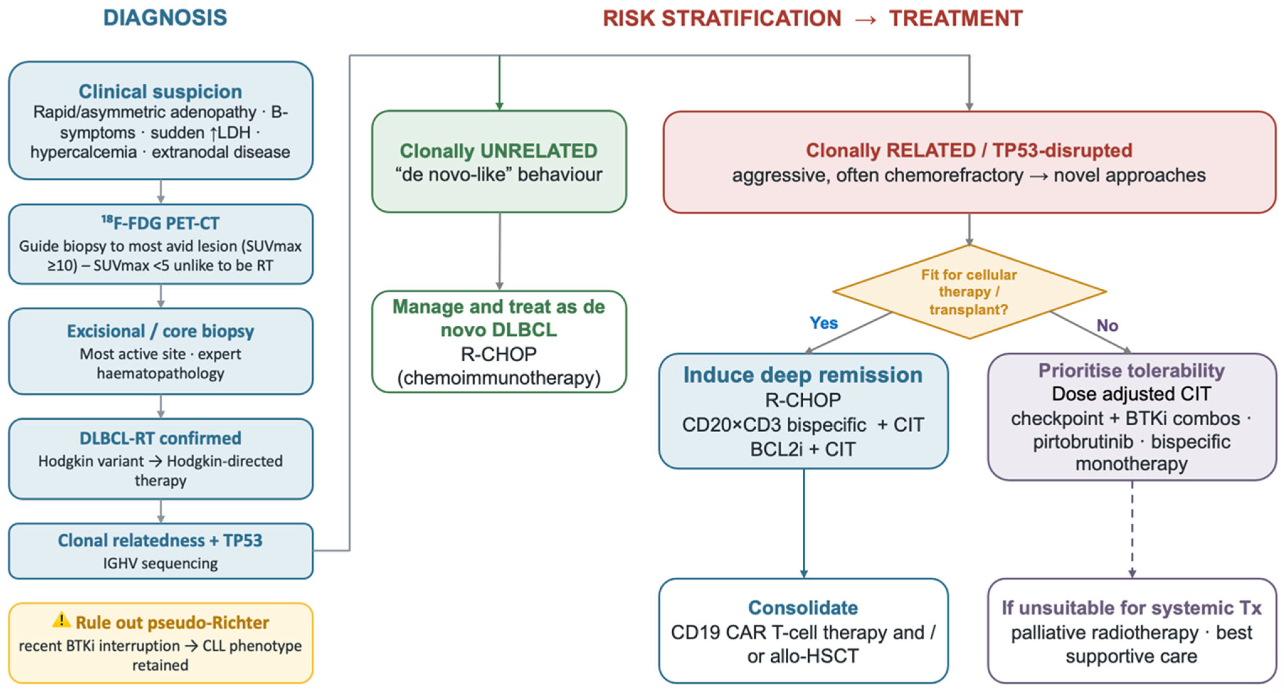 Richter Transformation of Chronic Lymphocytic Leukaemia: Biology ...