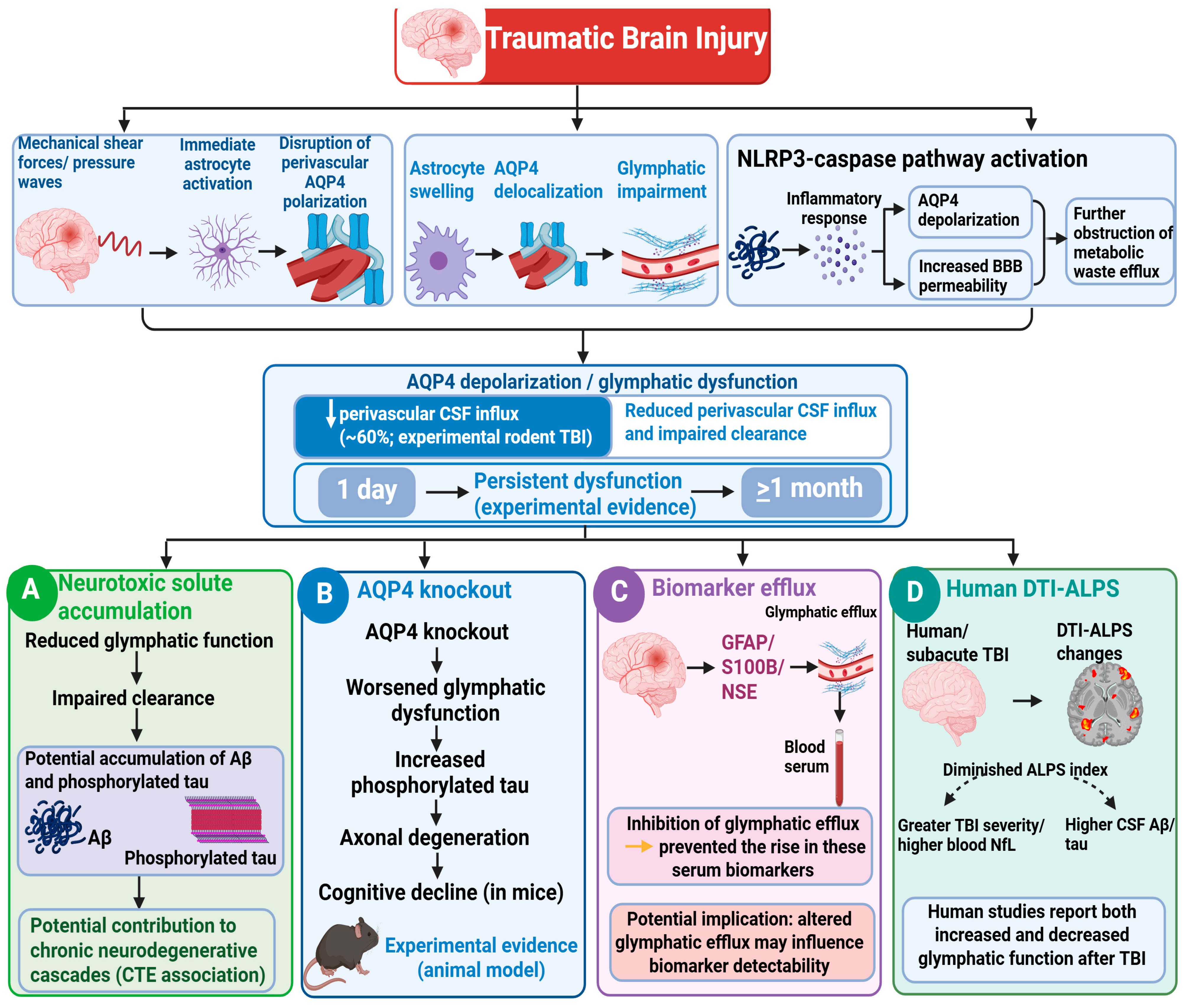 Biomedicines 14 02314 g002 Biomedicines 14 02314 g002