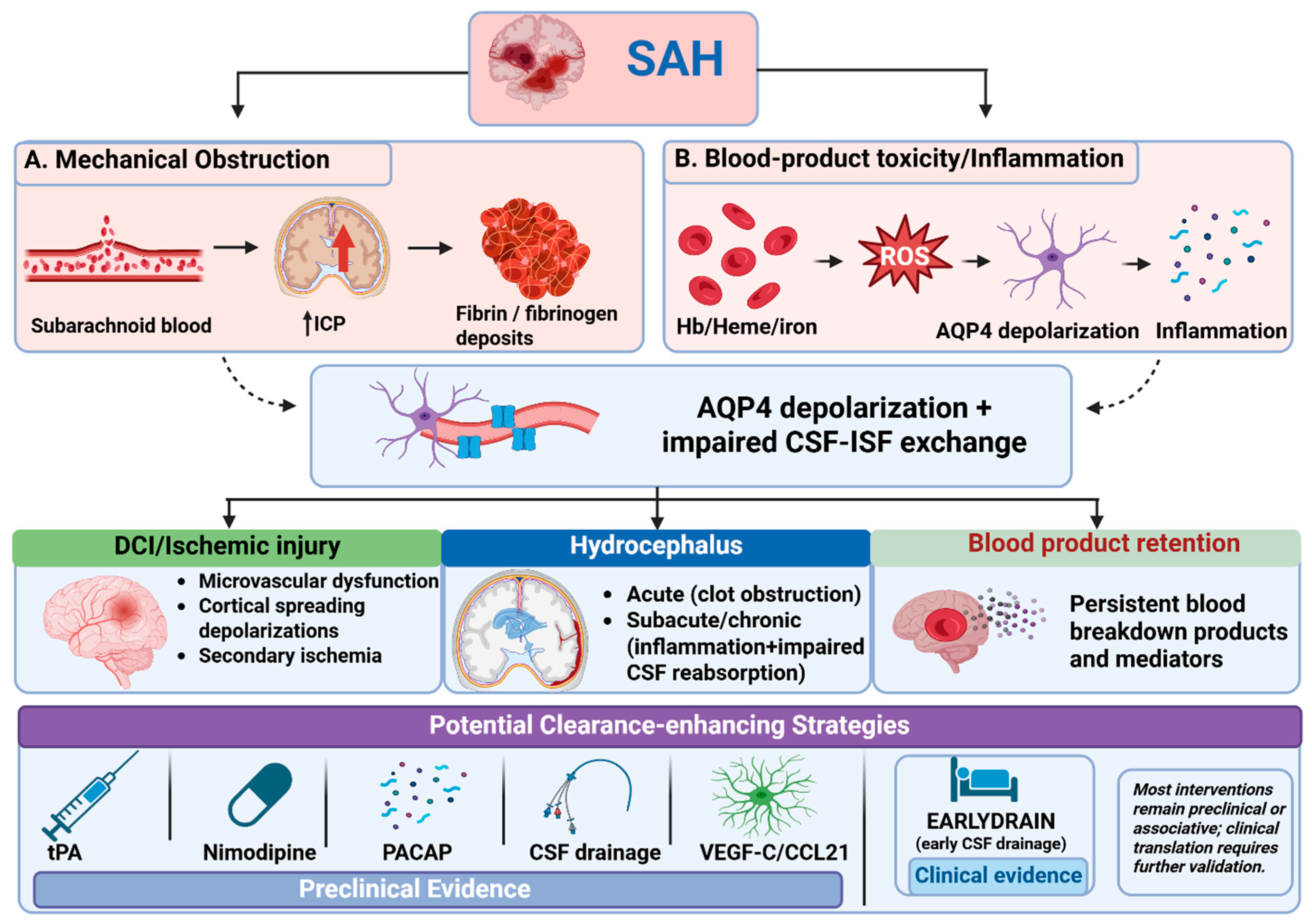 Biomedicines 14 02314 g003 Biomedicines 14 02314 g003