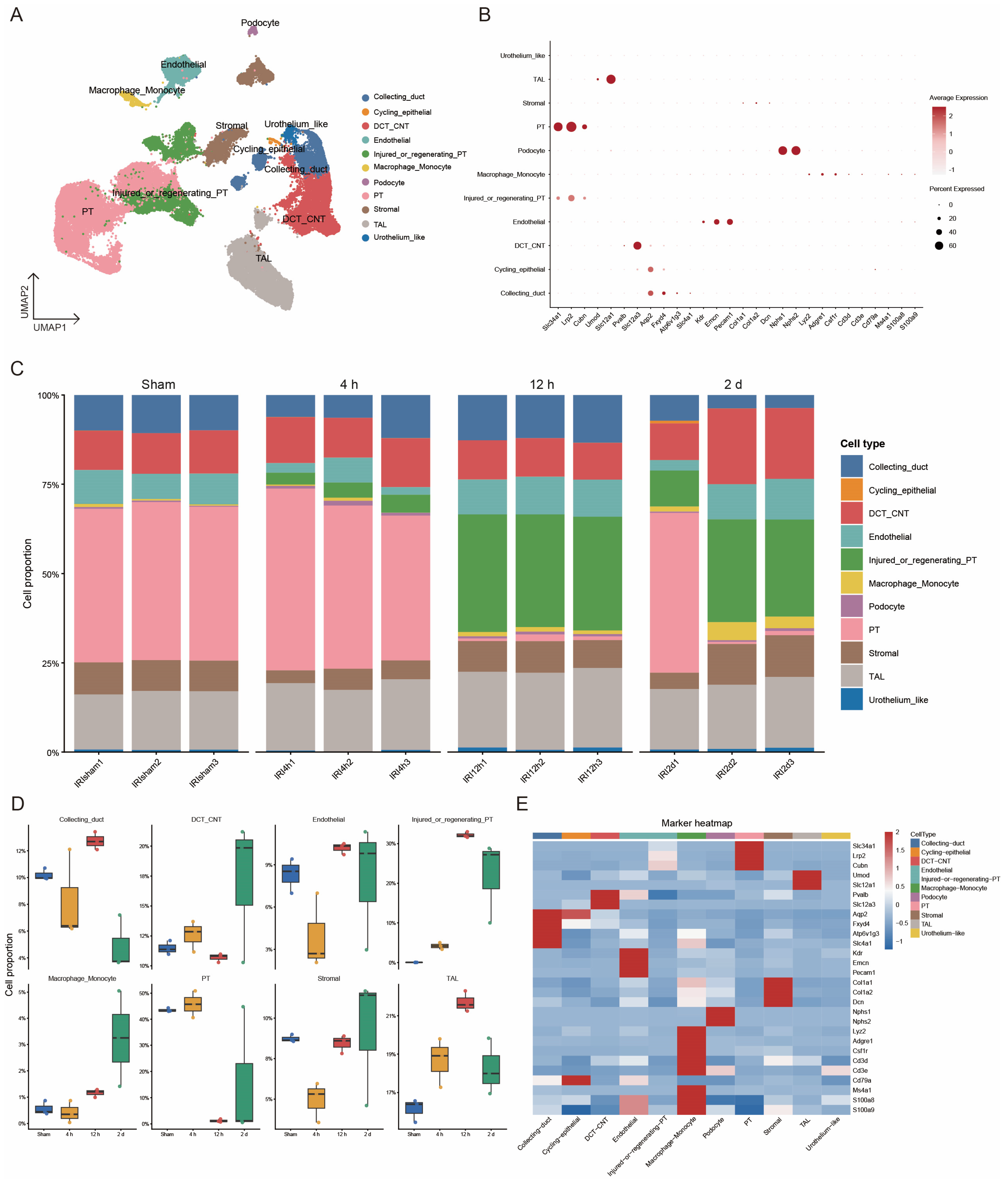 Biomedicines 14 02317 g001 Biomedicines 14 02317 g001