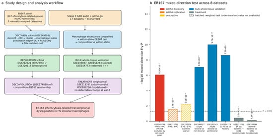 Efferocytosis-Related Transcriptional Dysregulation in Hidradenitis ...