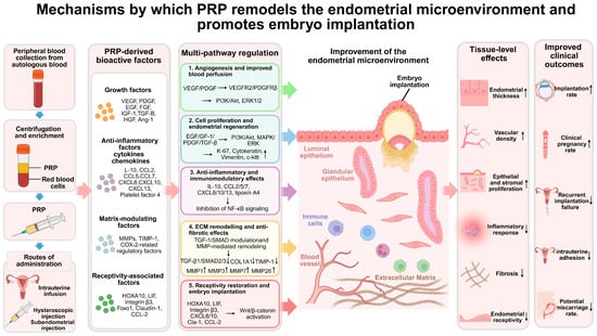 Biomedicines 14 02323 g001