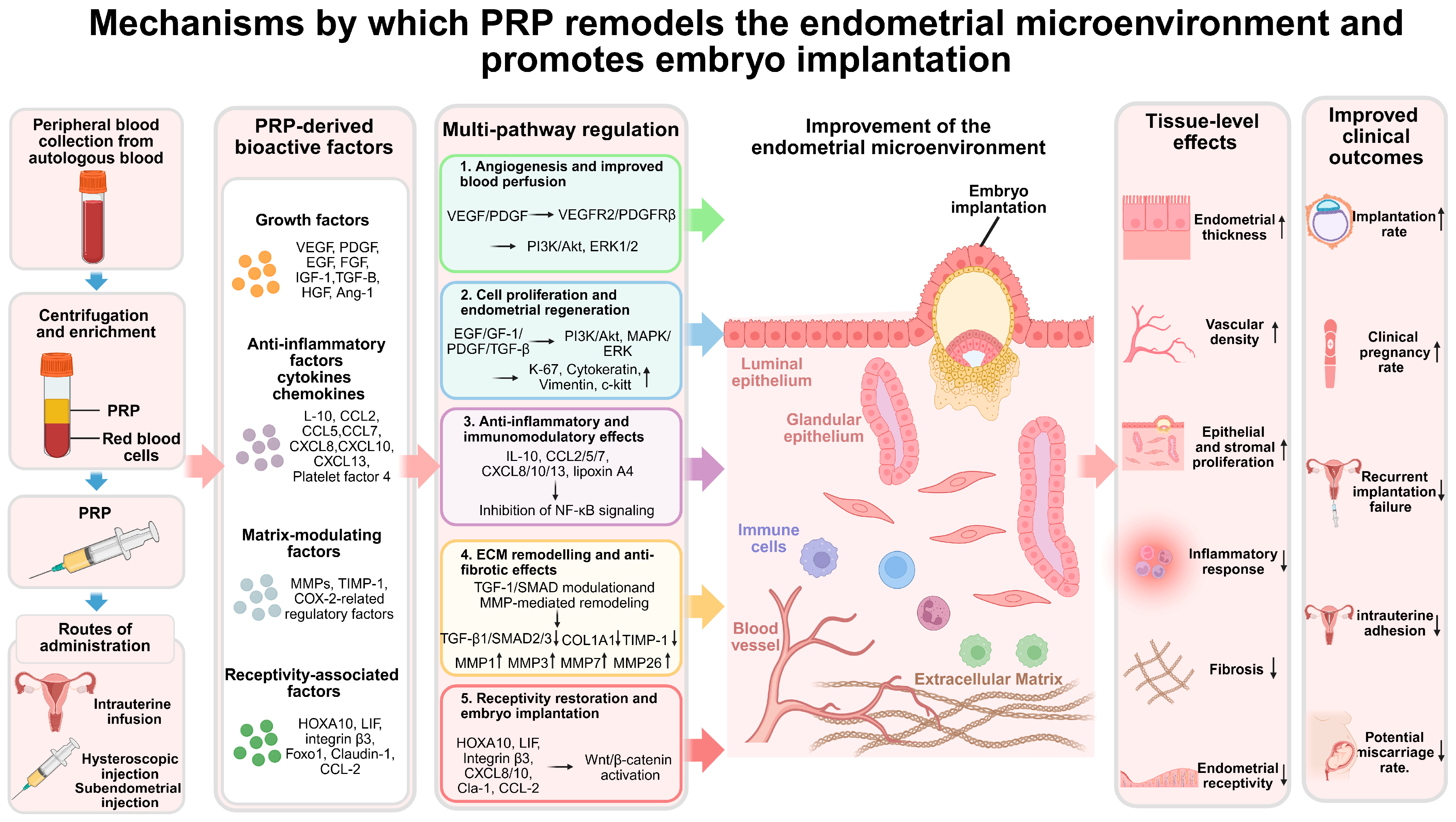 Biomedicines 14 02323 g001 Biomedicines 14 02323 g001