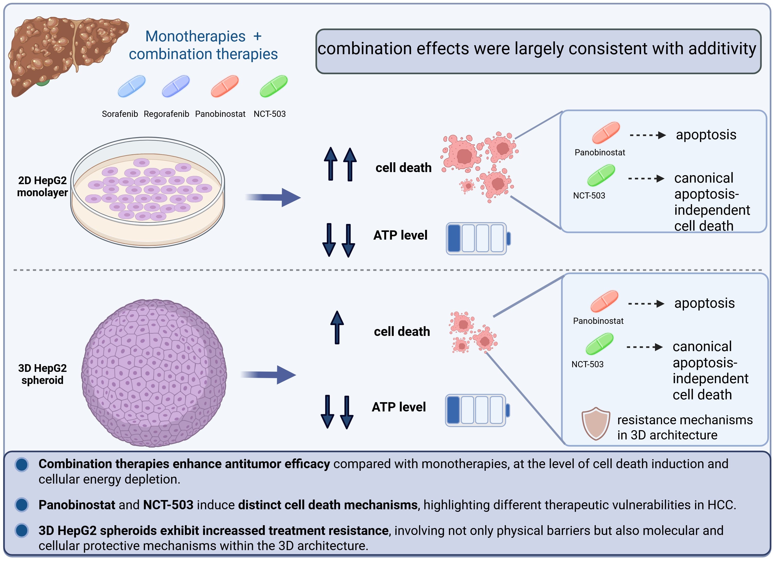 Culture Dimensionality Shapes Drug Sensitivity to Kinase Inhibitor ...
