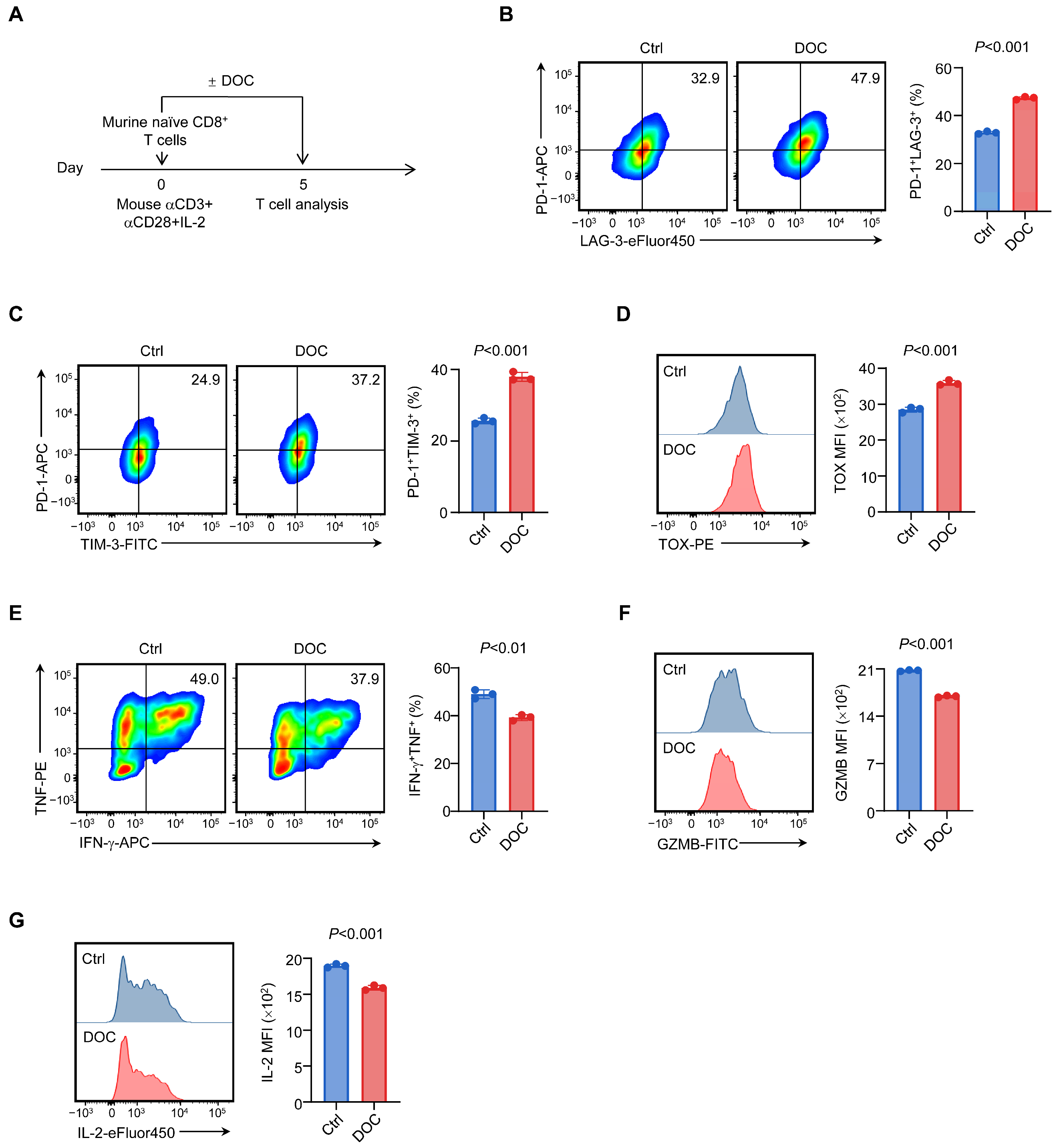 Biomedicines 14 02347 g001 Biomedicines 14 02347 g001