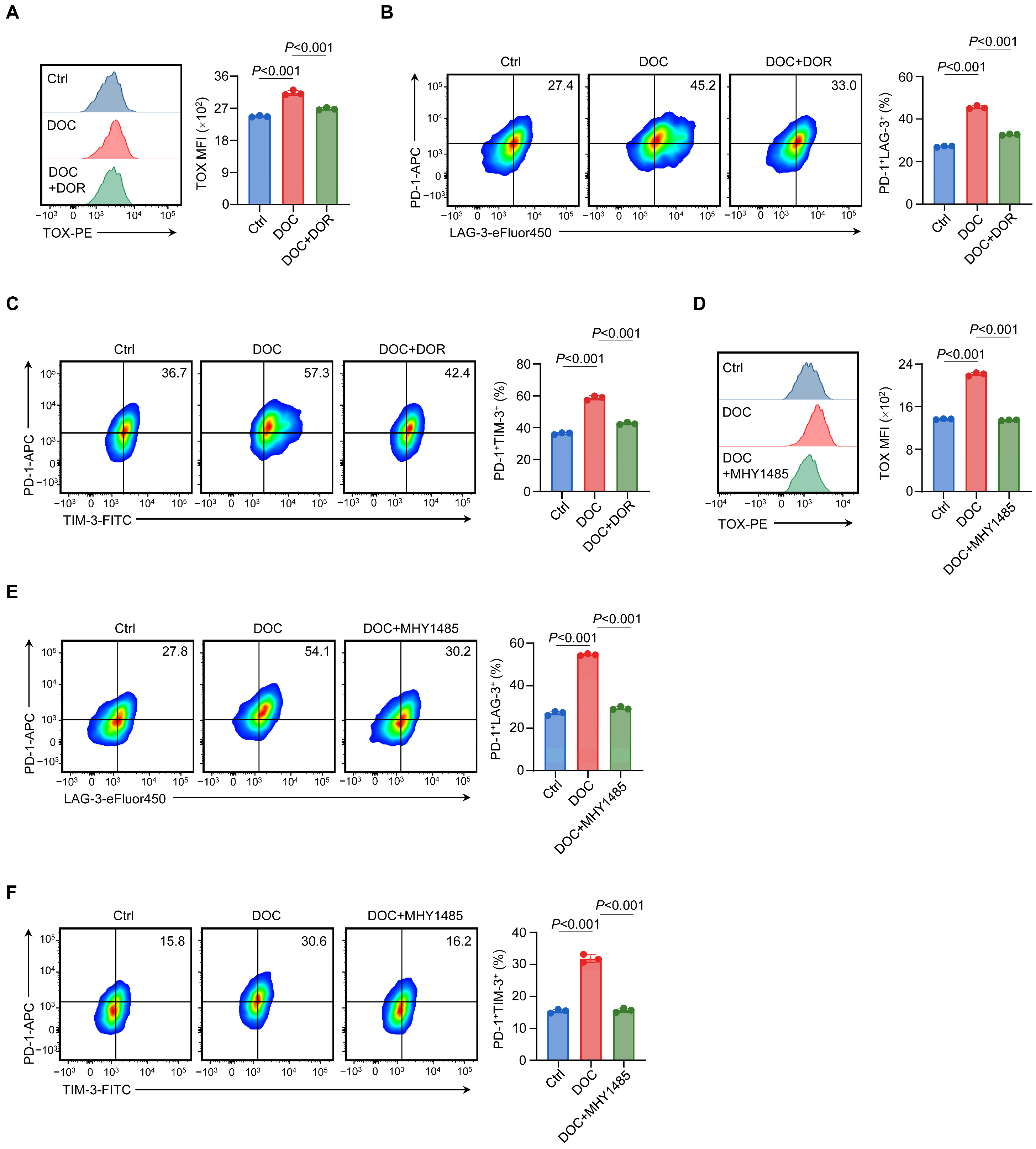 Biomedicines 14 02347 g002 Biomedicines 14 02347 g002