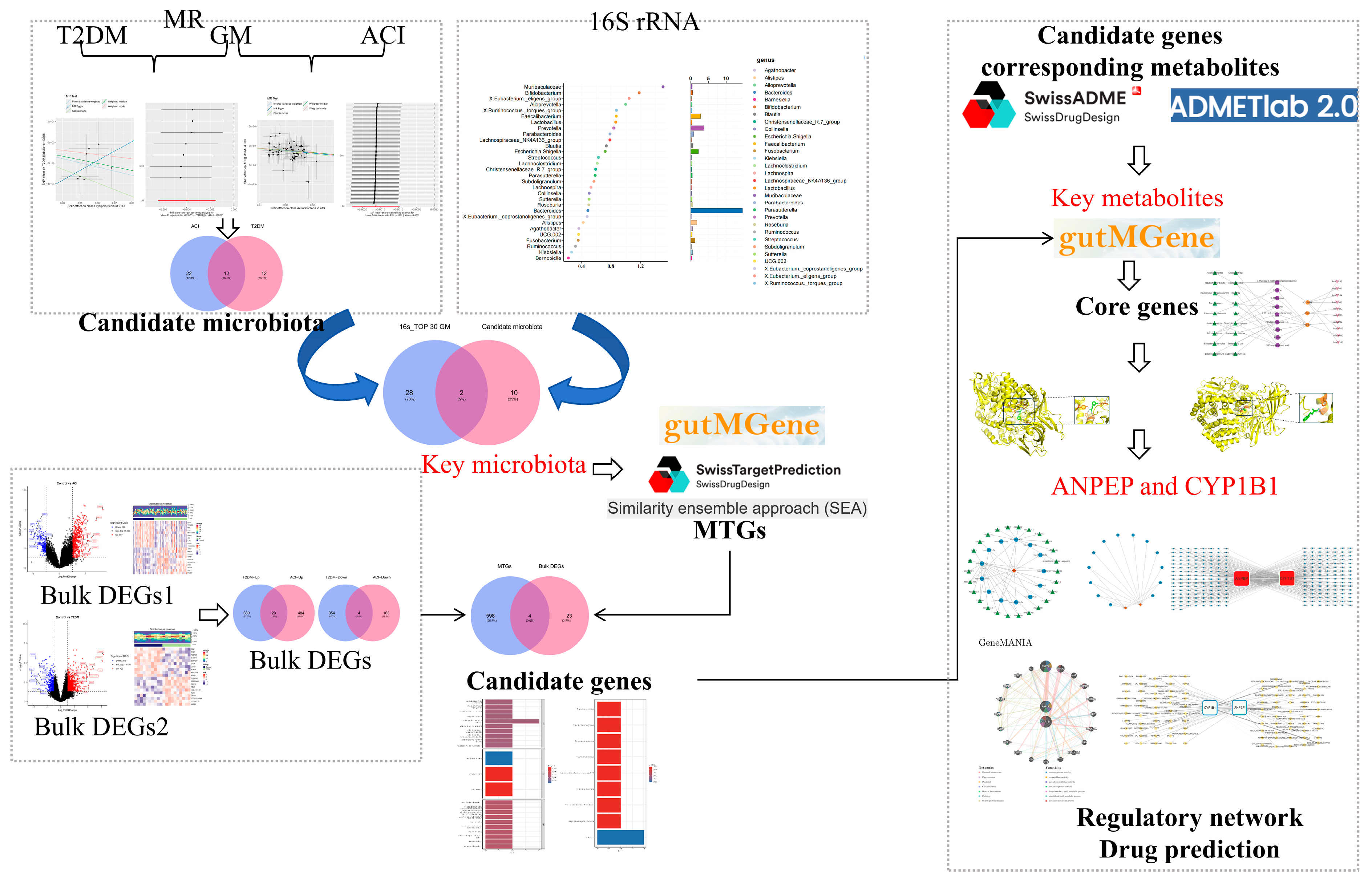 Biomedicines 14 02371 g001