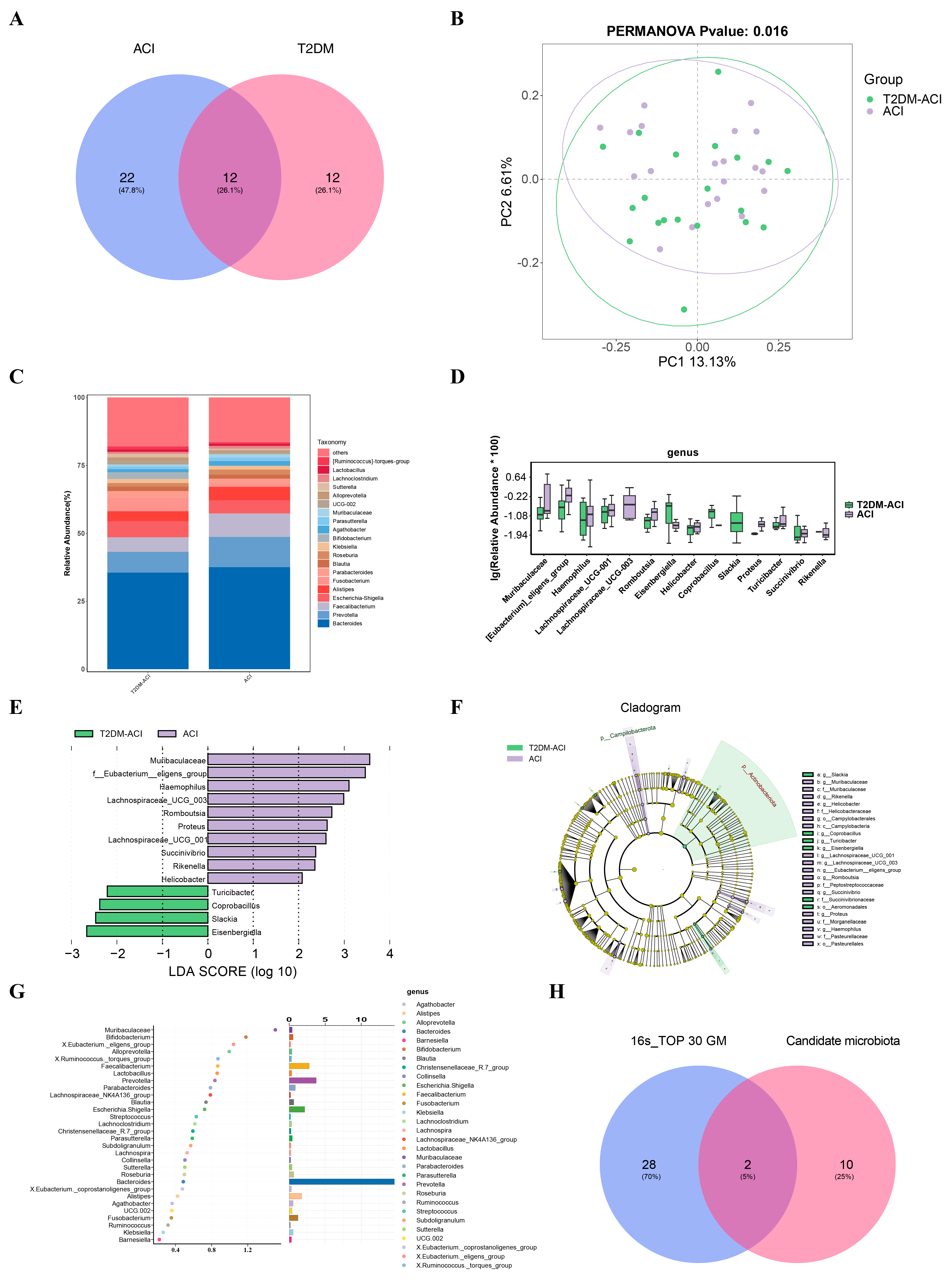 Biomedicines 14 02371 g002