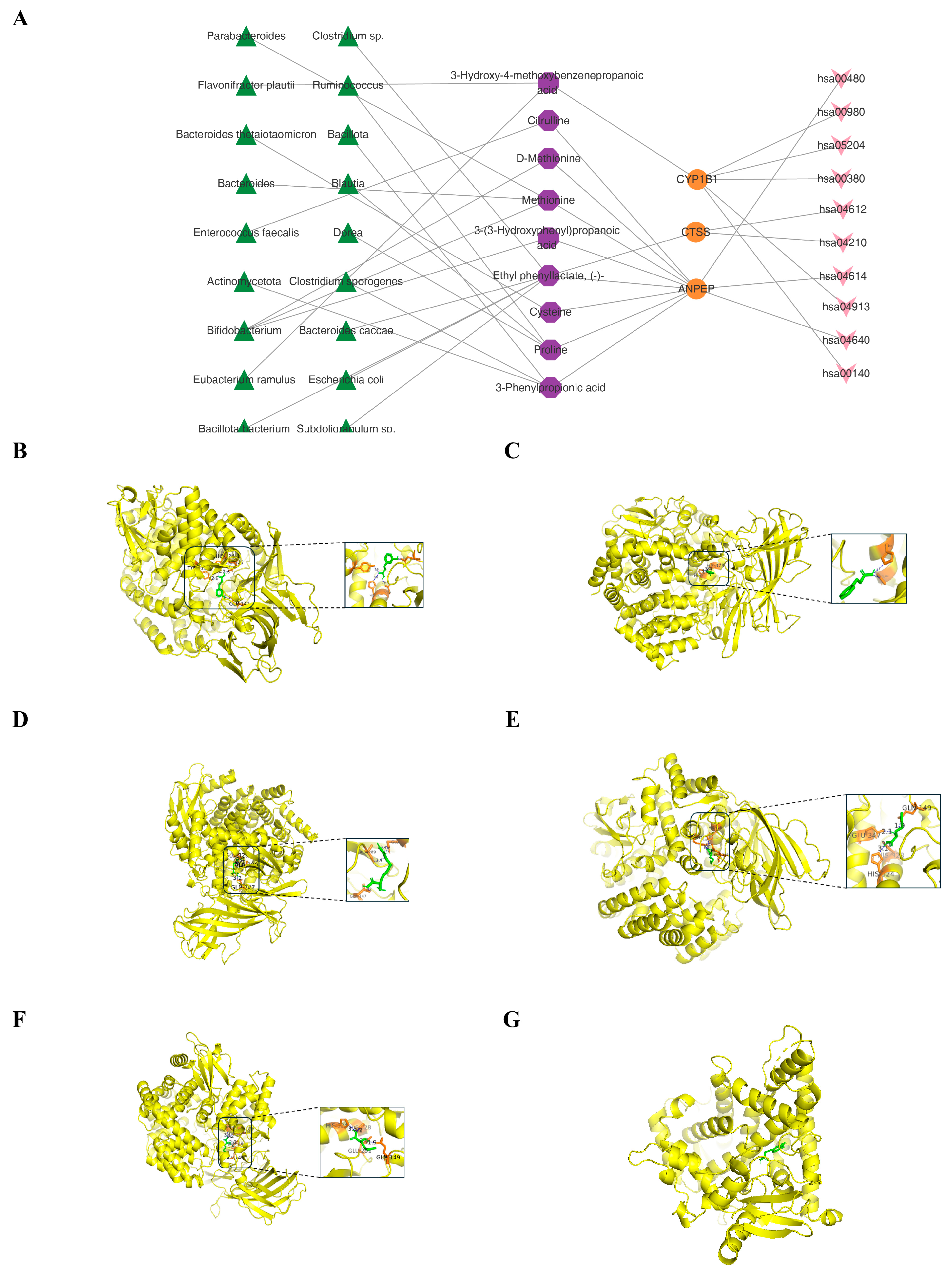 Biomedicines 14 02371 g004