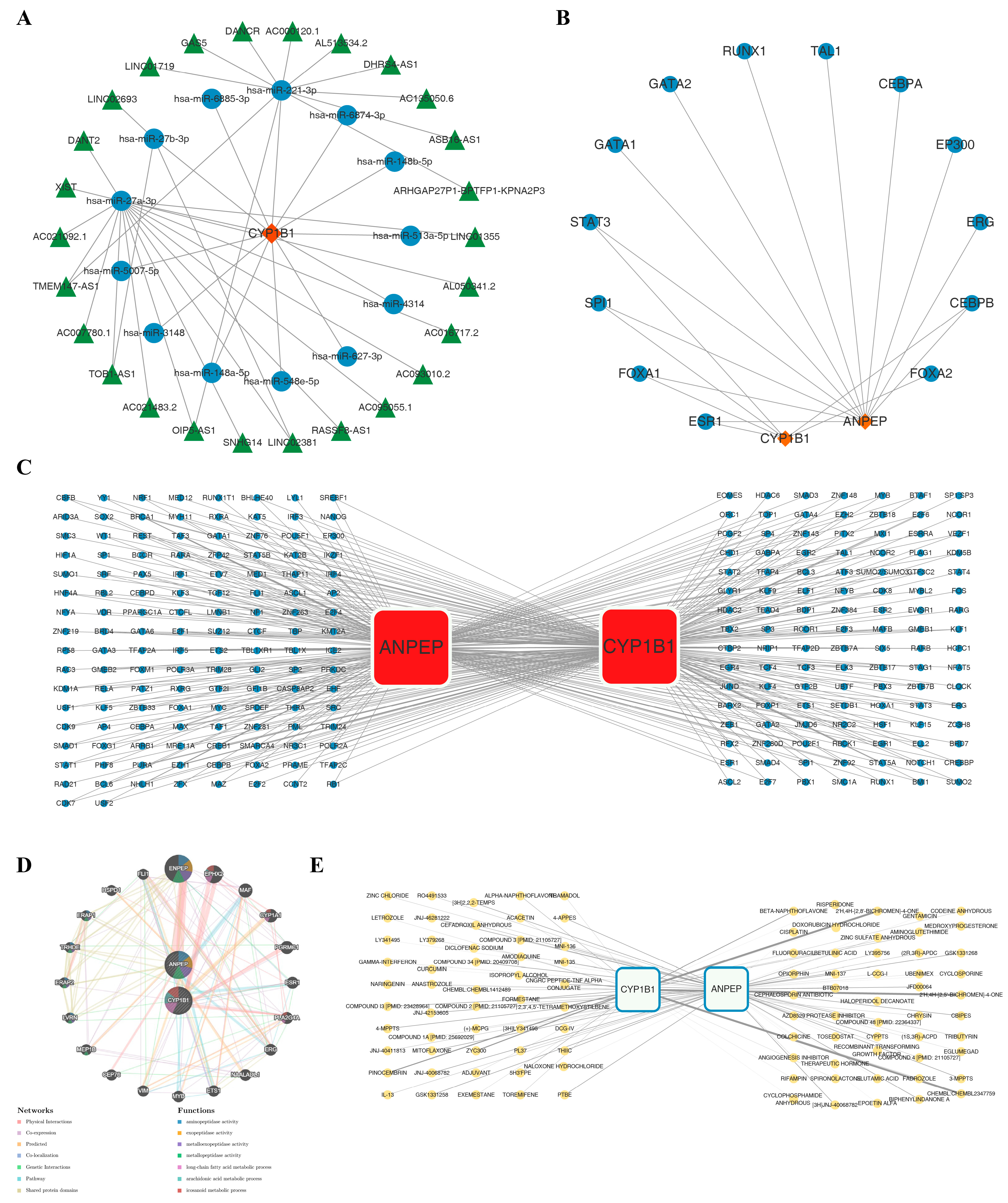Biomedicines 14 02371 g005