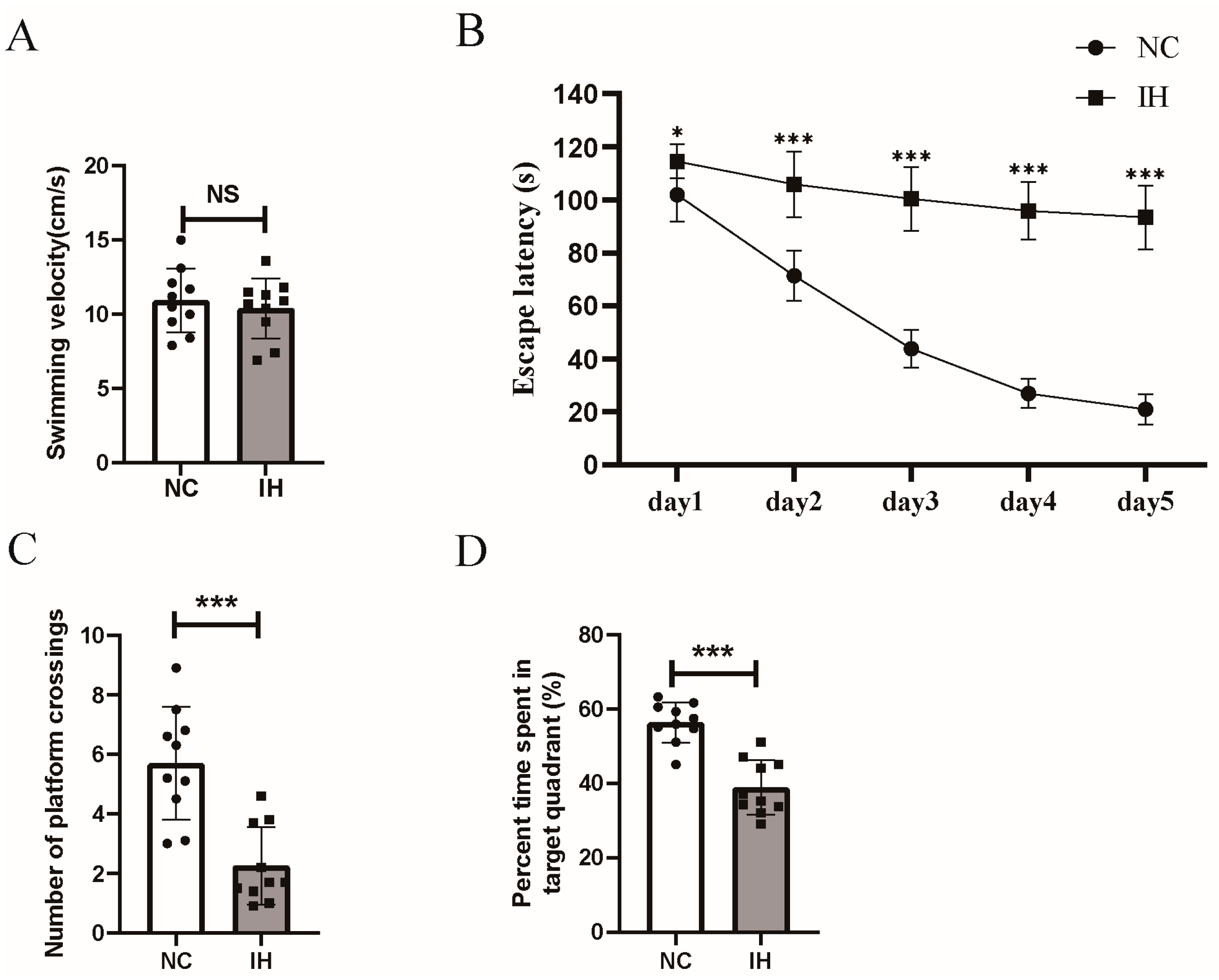 Biomedicines 14 02373 g001 Biomedicines 14 02373 g001