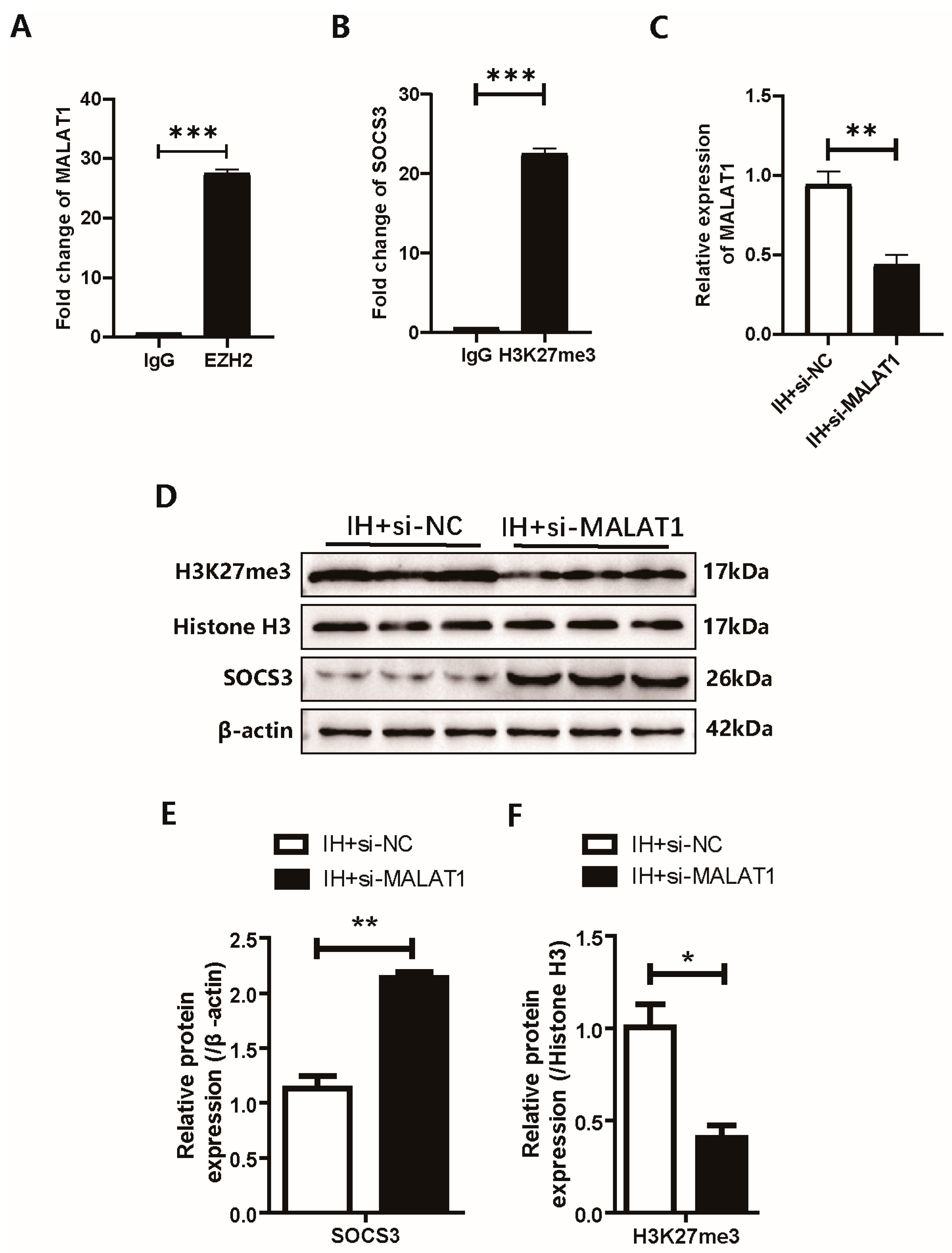 Biomedicines 14 02373 g005 Biomedicines 14 02373 g005