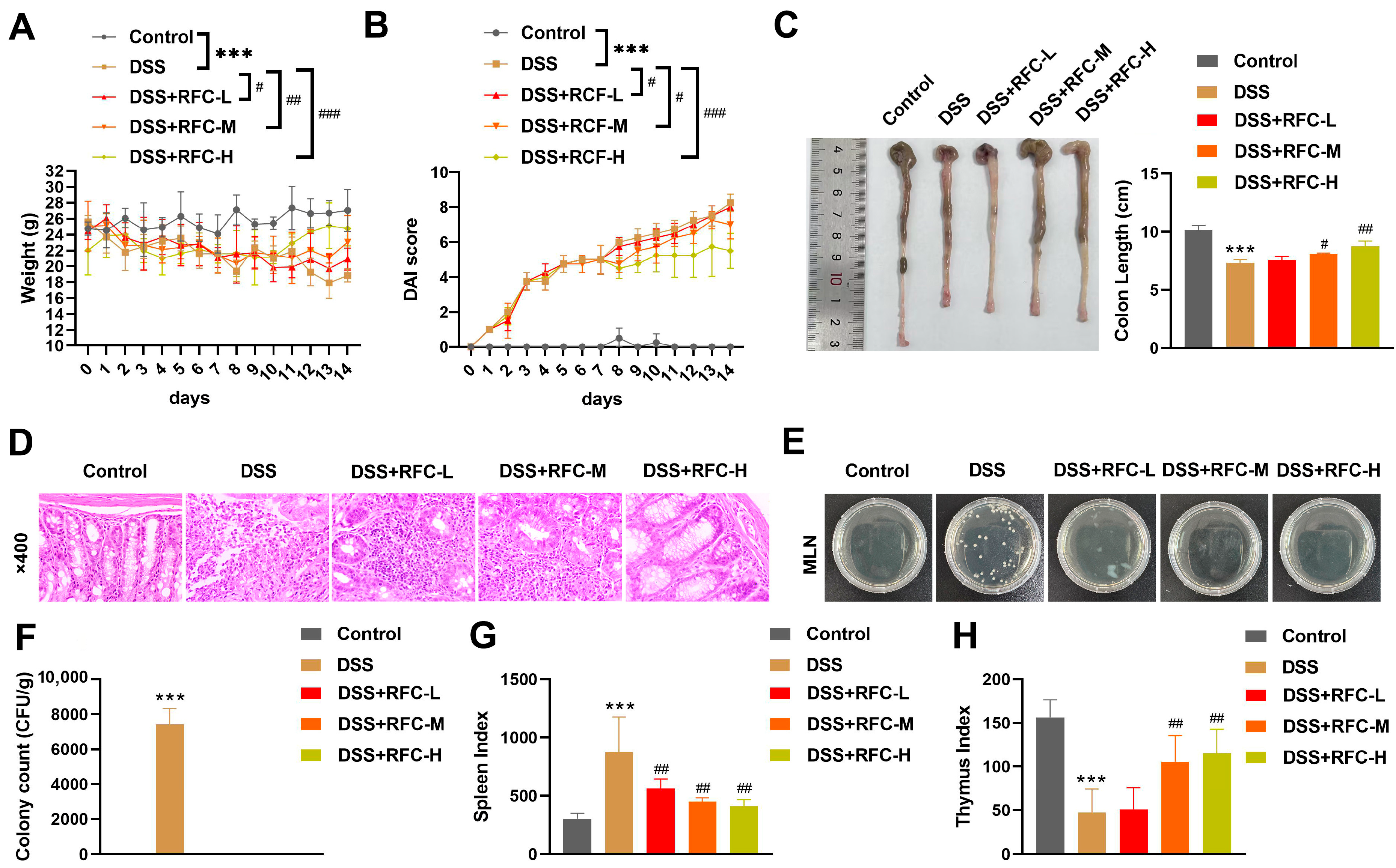Biomedicines 14 02403 g001 Biomedicines 14 02403 g001