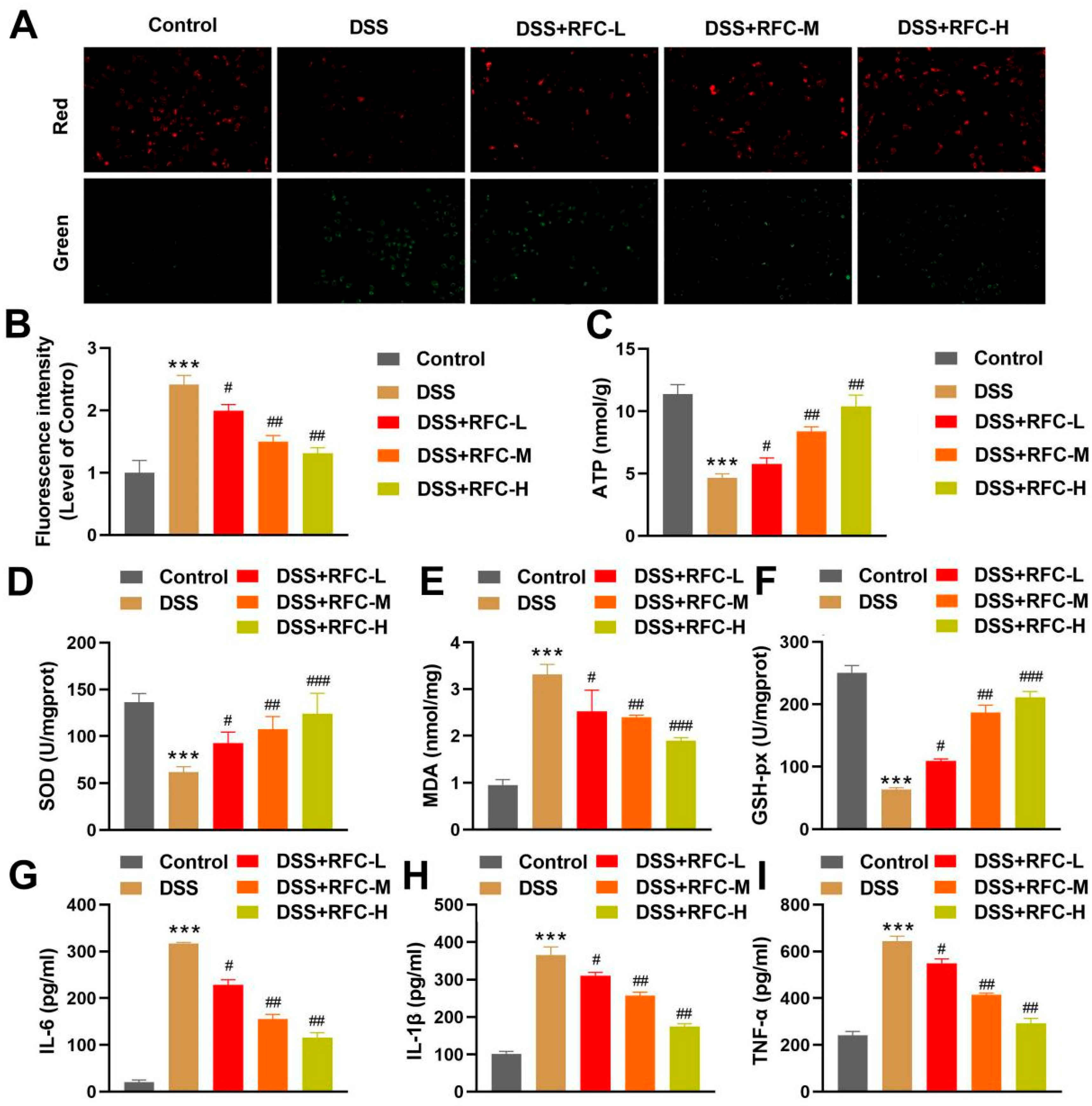 Biomedicines 14 02403 g002 Biomedicines 14 02403 g002