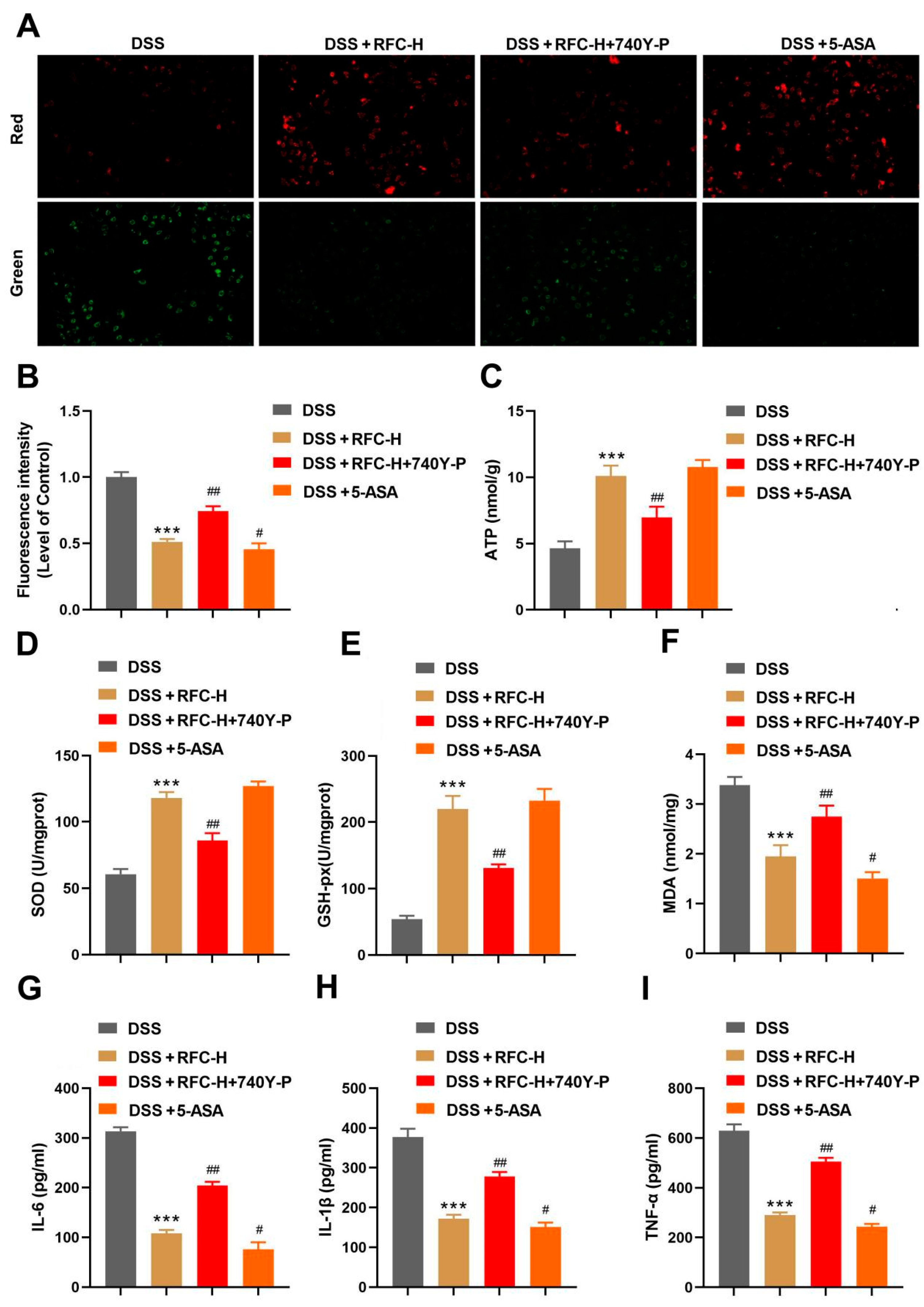 Biomedicines 14 02403 g005 Biomedicines 14 02403 g005