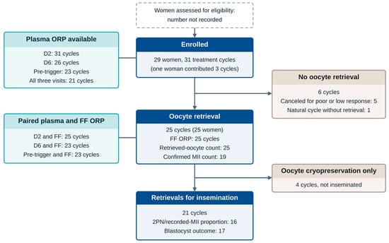 Flow of women and treatment cycles. The boxes give the number of cycles with plasma ORP at each visit, with oocyte retrieval and follicular-fluid (FF) ORP, and with evaluable outcomes. The number of women assessed for eligibility was not recorded. One third-visit specimen from an untriggered natural cycle was not counted as pre-trigger. Retrievals for insemination are those not limited to oocyte cryopreservation. ORP, oxidation–reduction potential; D2, cycle day 2; D6, stimulation day 6 (menstrual-cycle day 6 in natural cycles); MII, metaphase II; 2PN, two pronuclei.