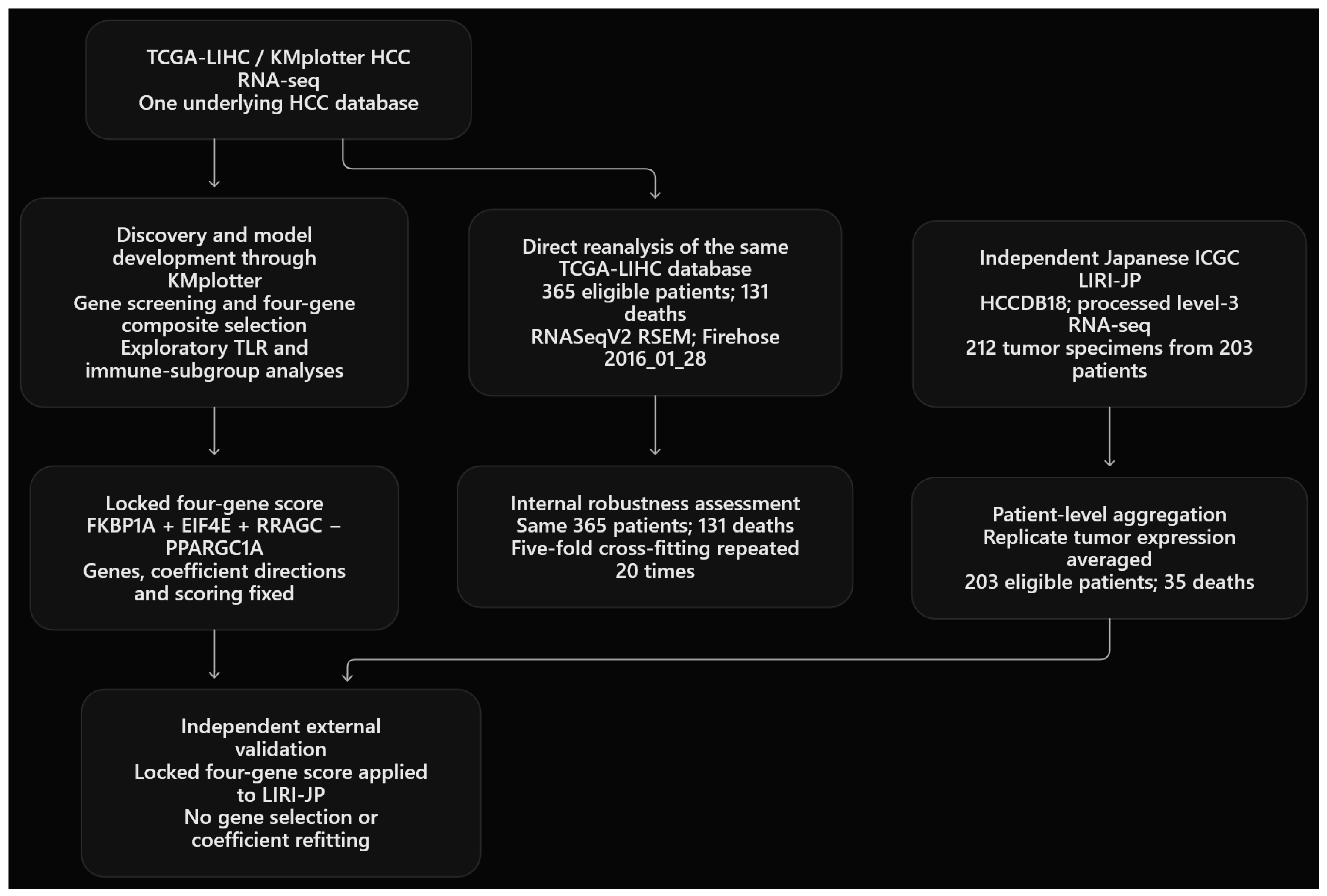 Biomedicines 14 02438 g001 Biomedicines 14 02438 g001