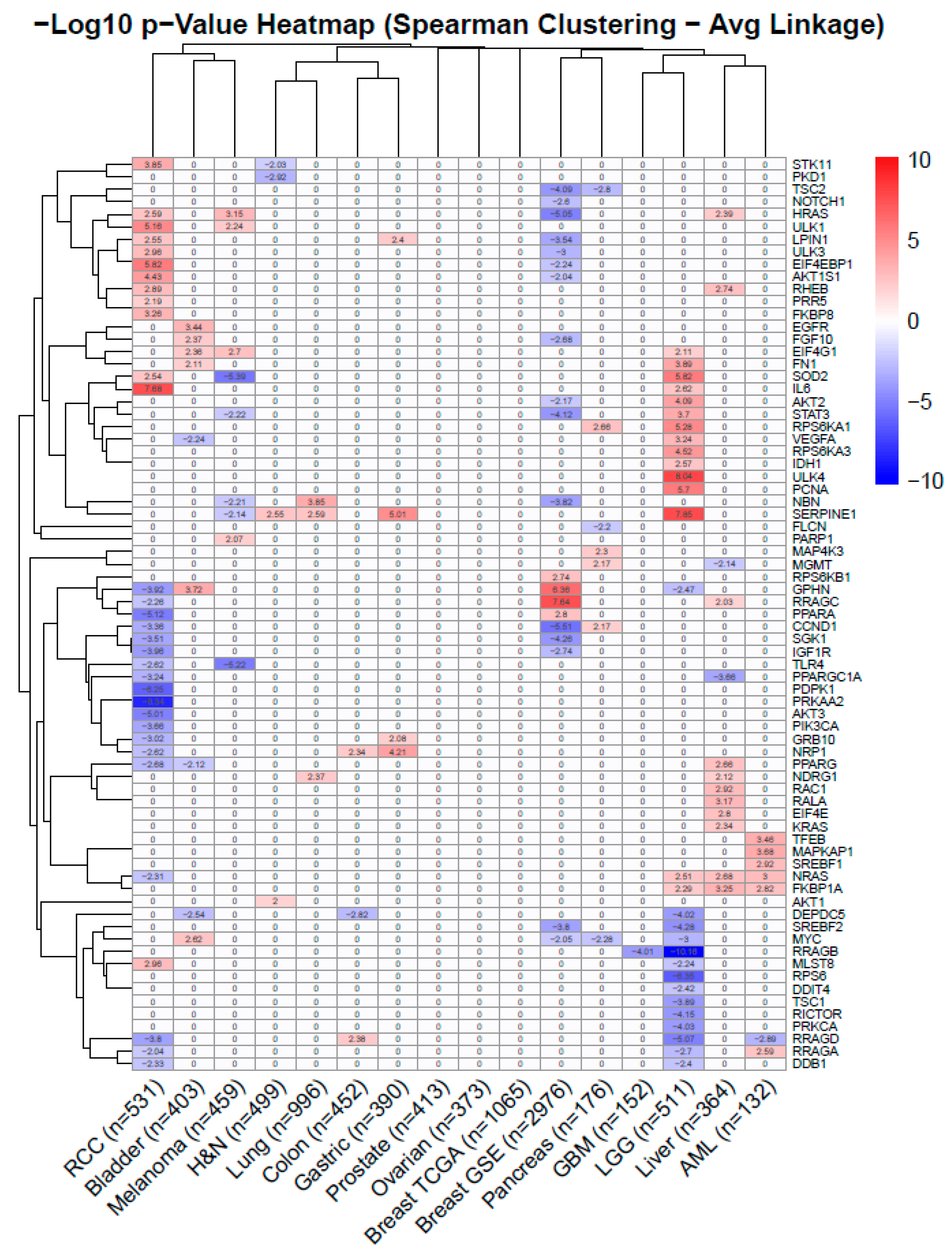 Biomedicines 14 02438 g003 Biomedicines 14 02438 g003
