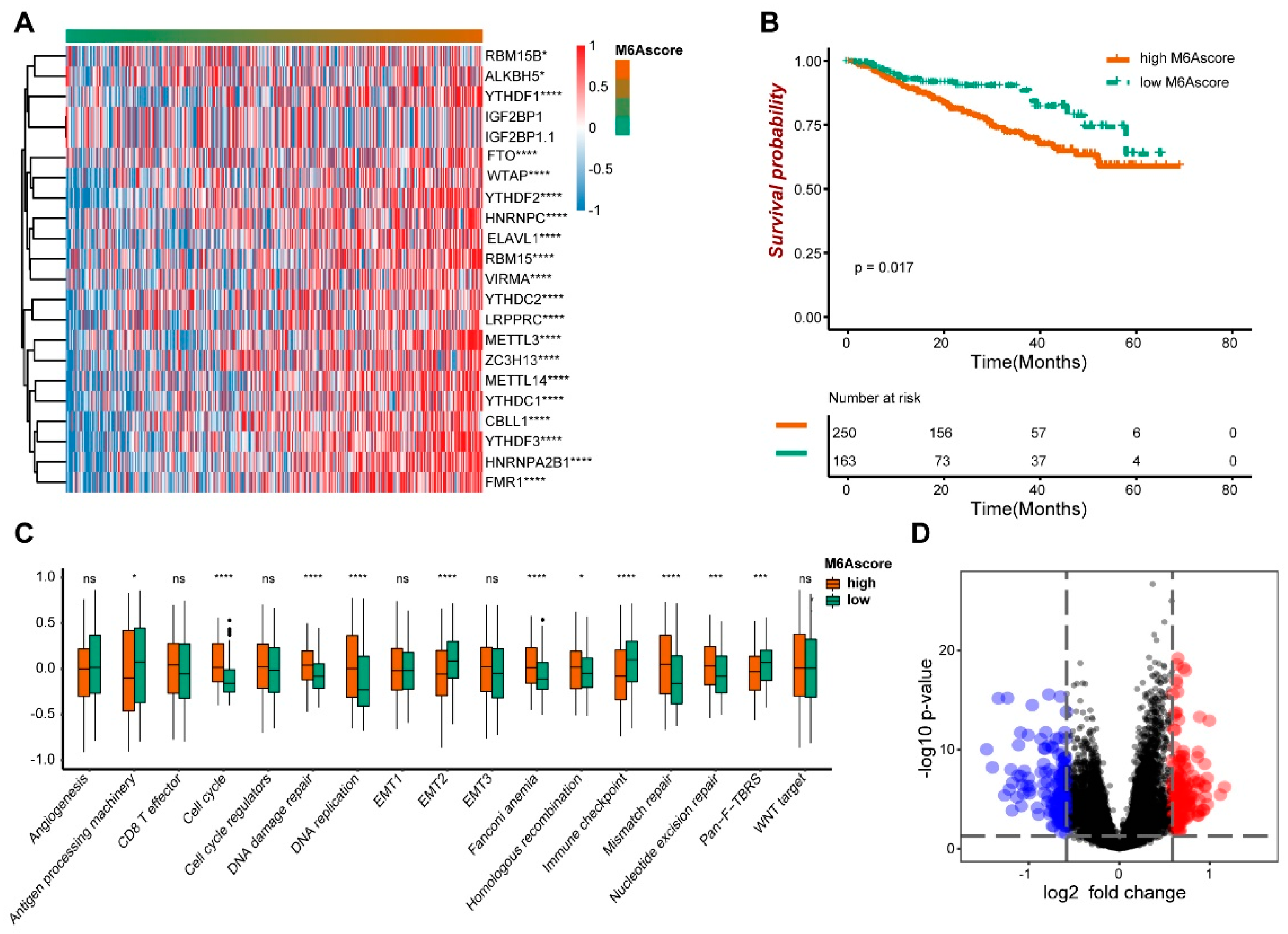 Biomedinformatics 01 00006 g002