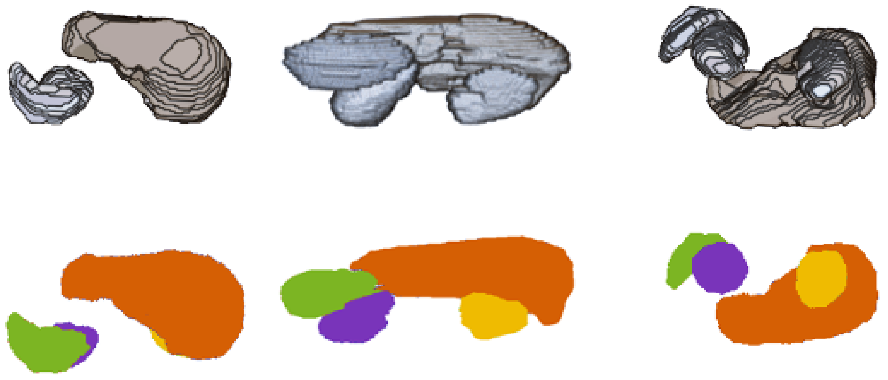 Biomedinformatics 01 00007 g006
