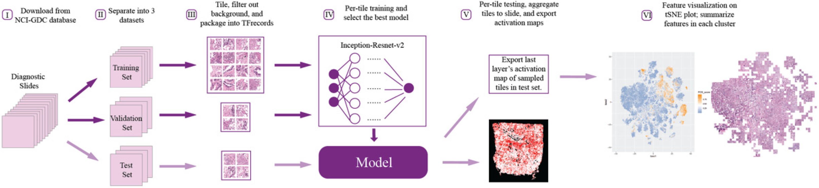 Biomedinformatics 02 00006 g001