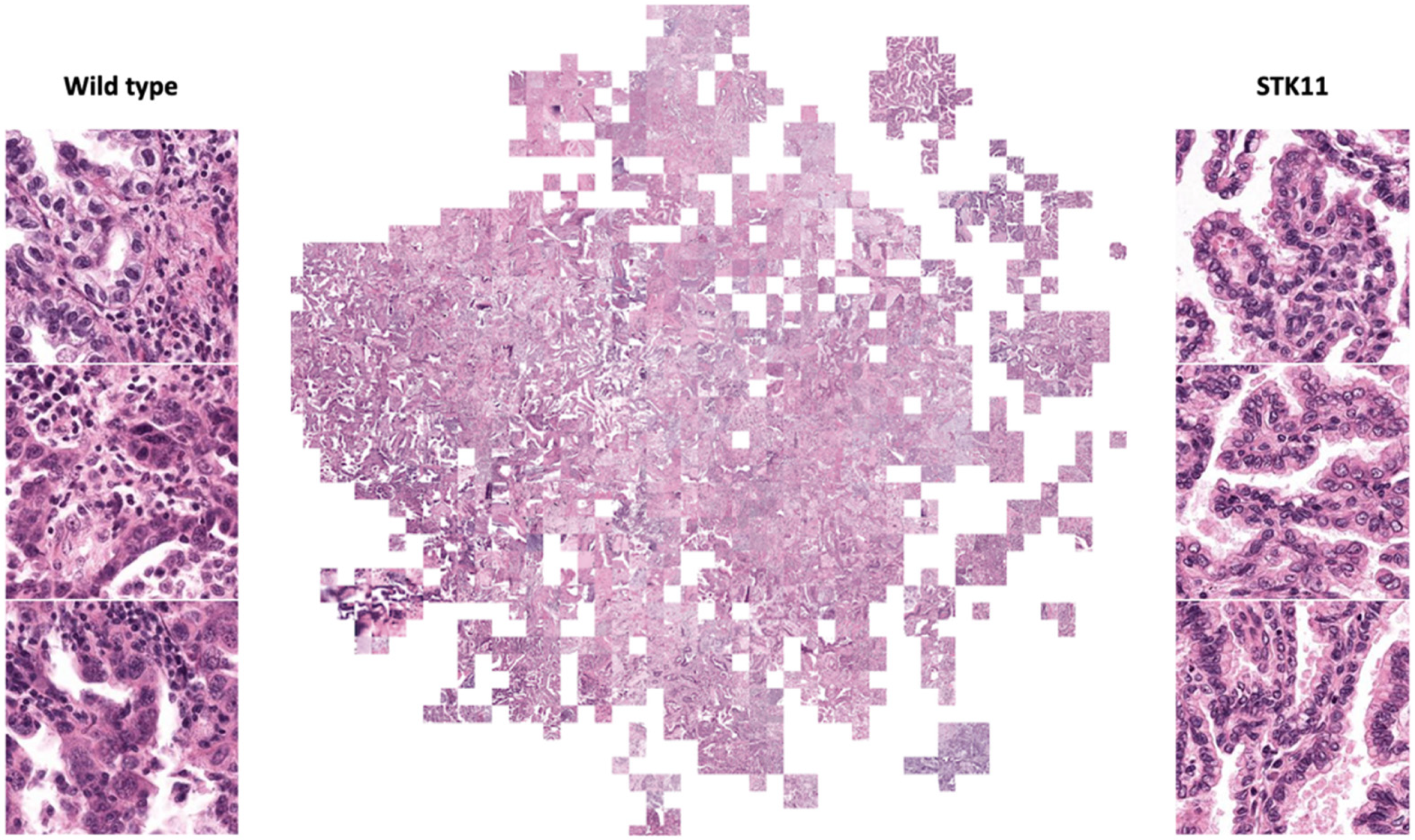 Biomedinformatics 02 00006 g004