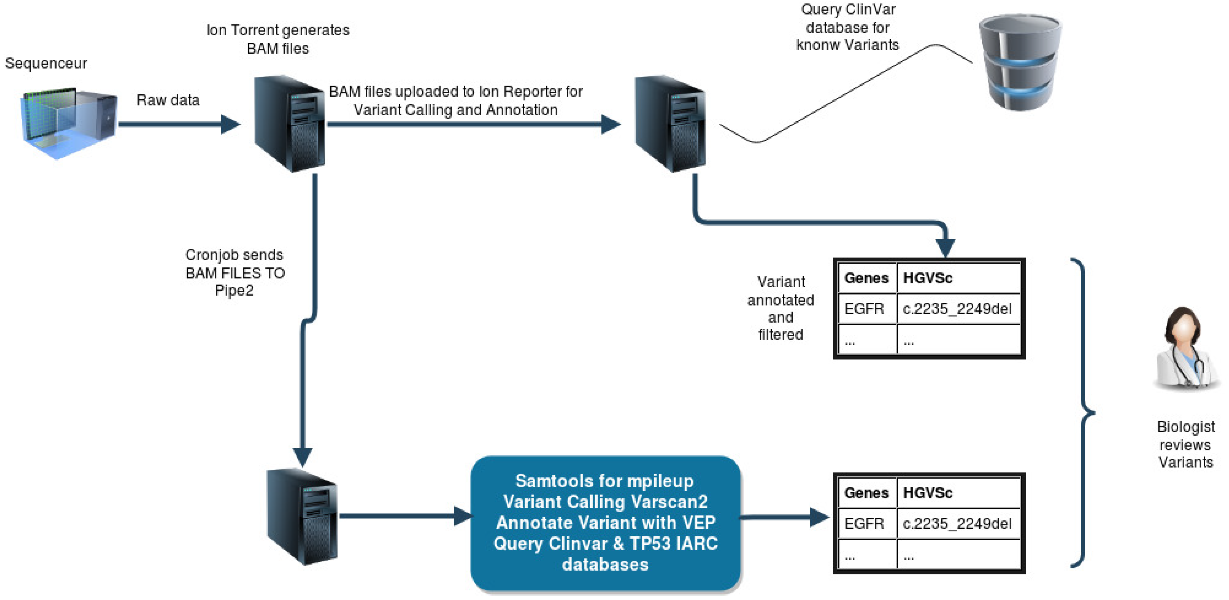 Biomedinformatics 02 00016 g001