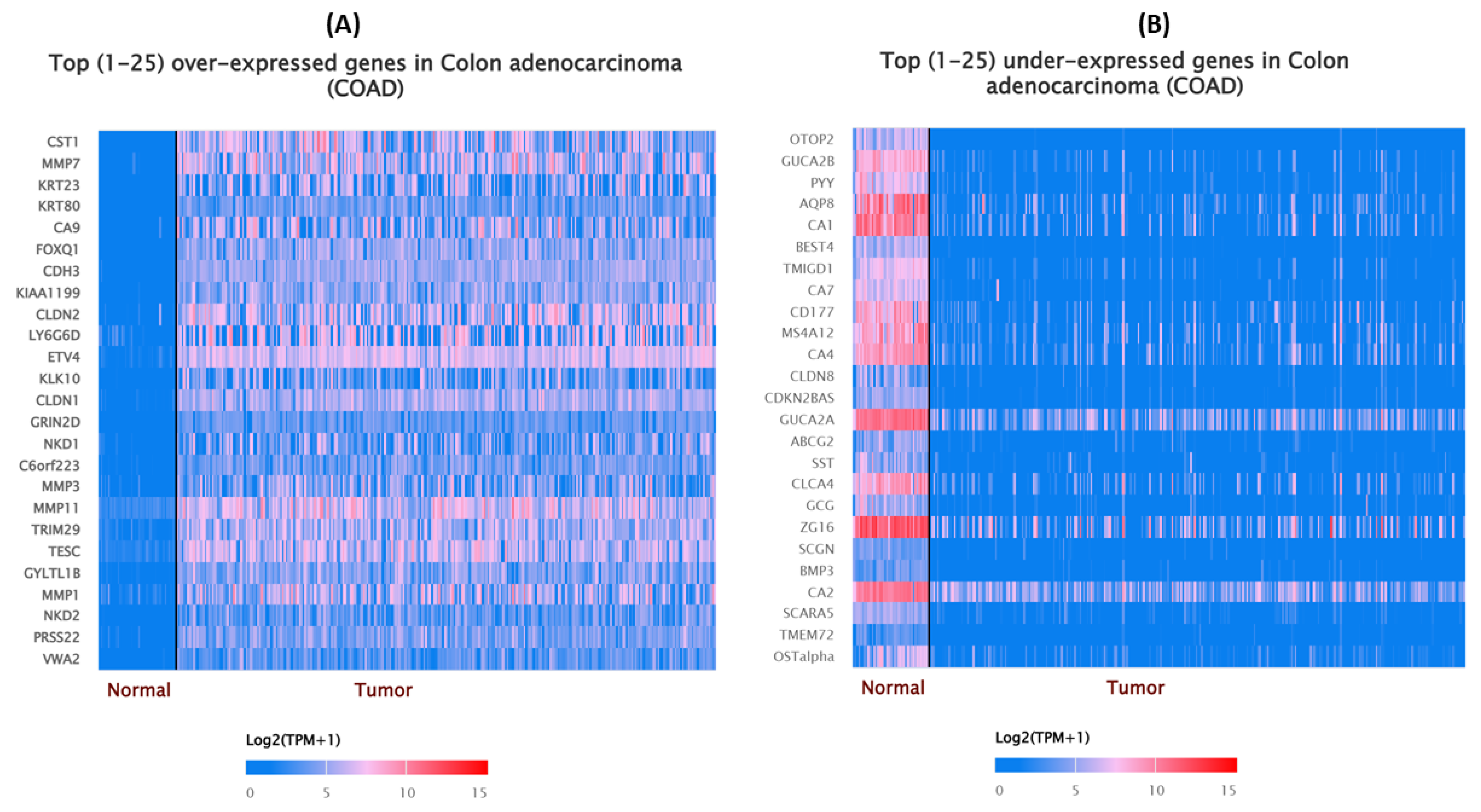 Biomedinformatics 02 00030 g002