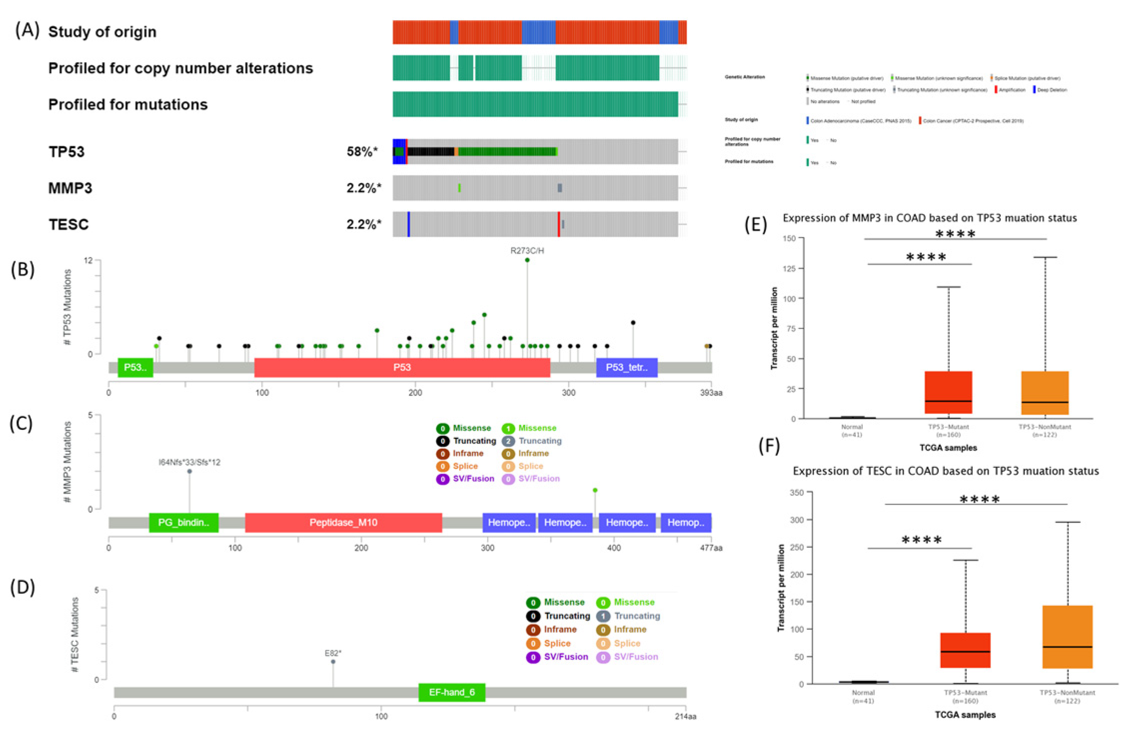 Biomedinformatics 02 00030 g007