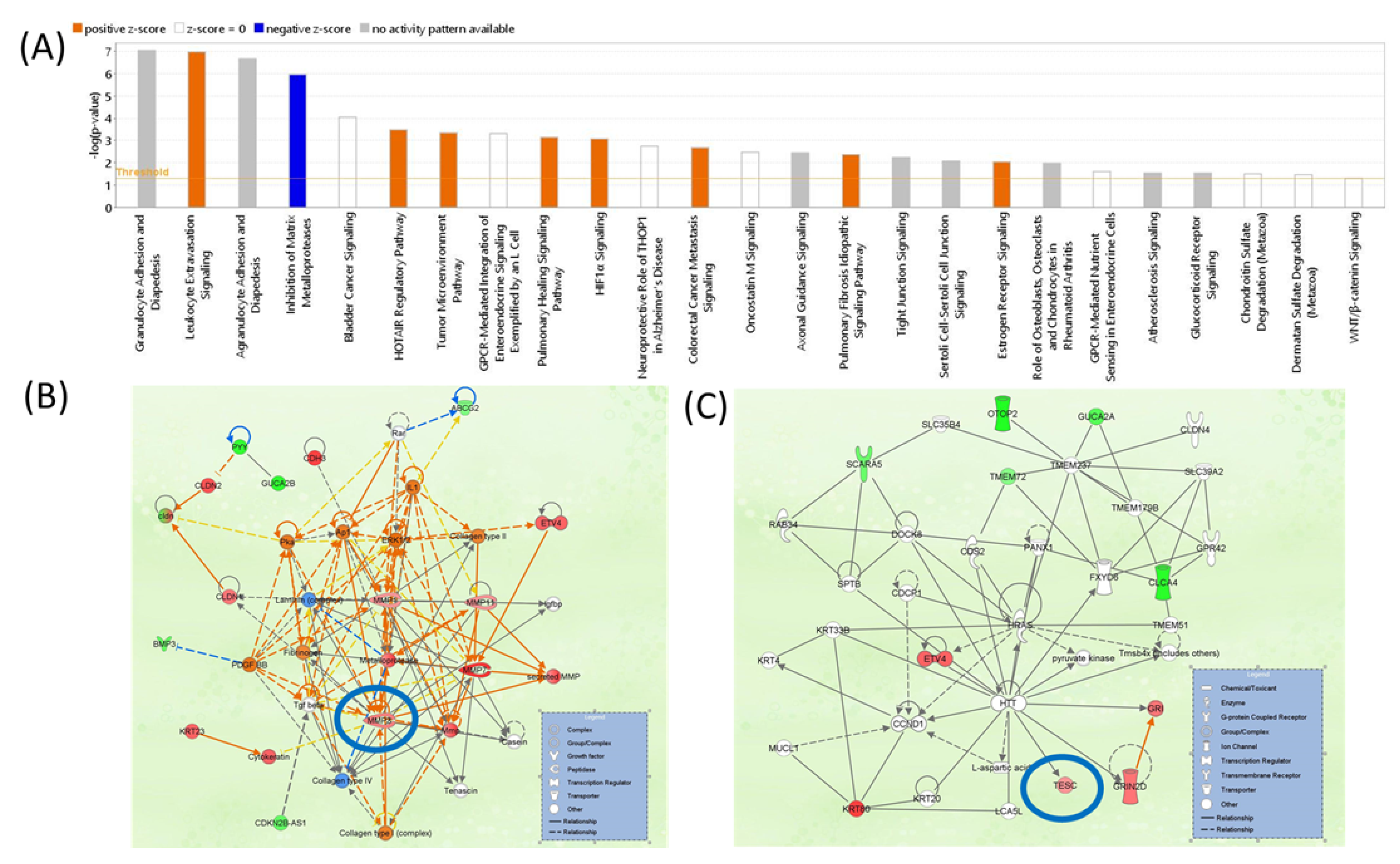 Biomedinformatics 02 00030 g010