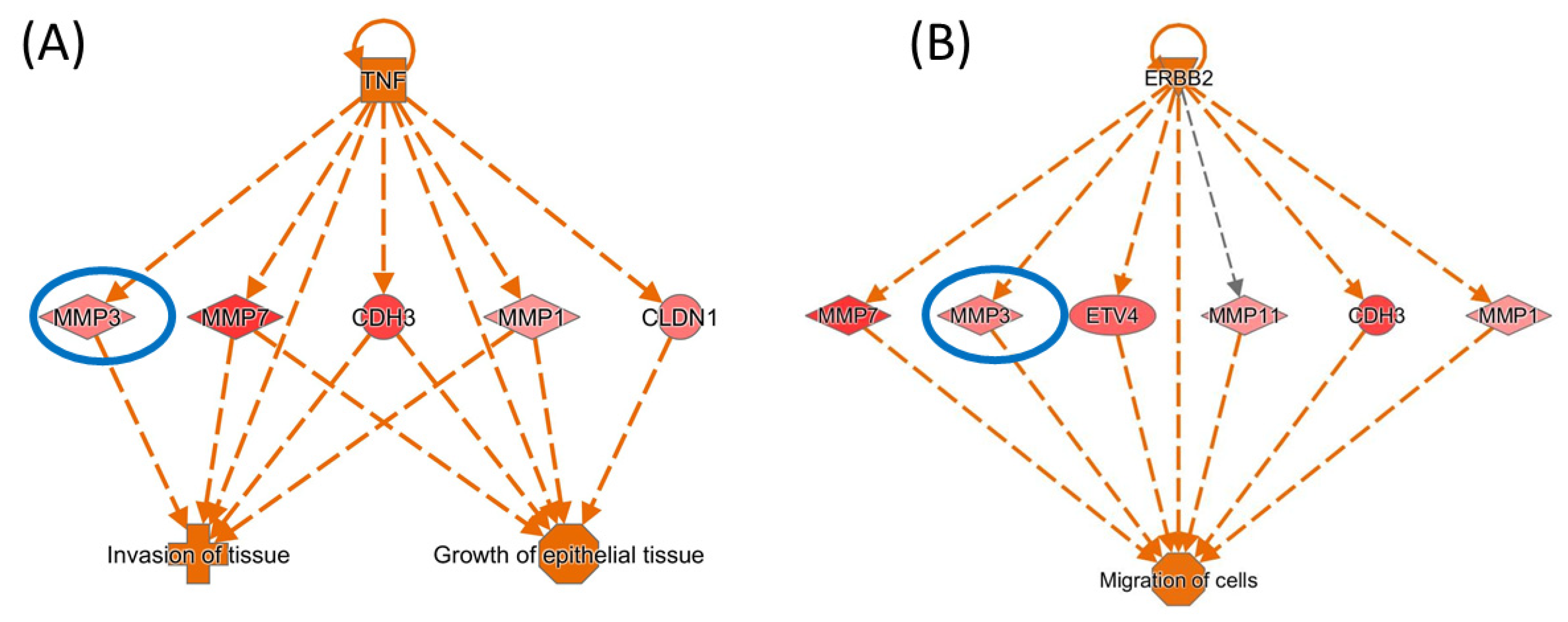 Biomedinformatics 02 00030 g011