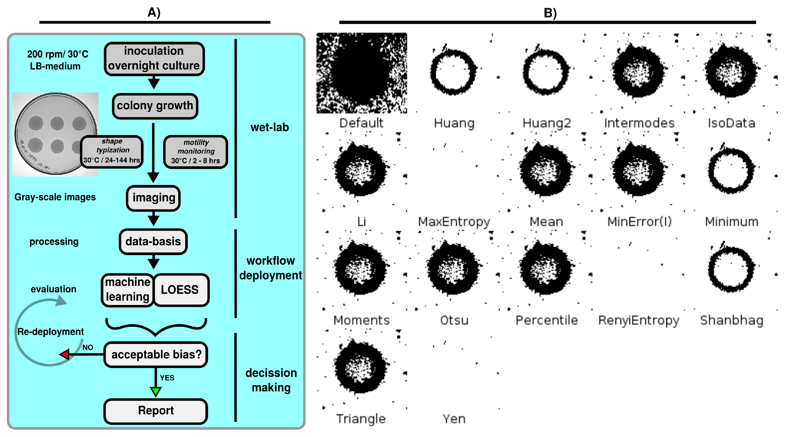 Biomedinformatics 02 00036 g001