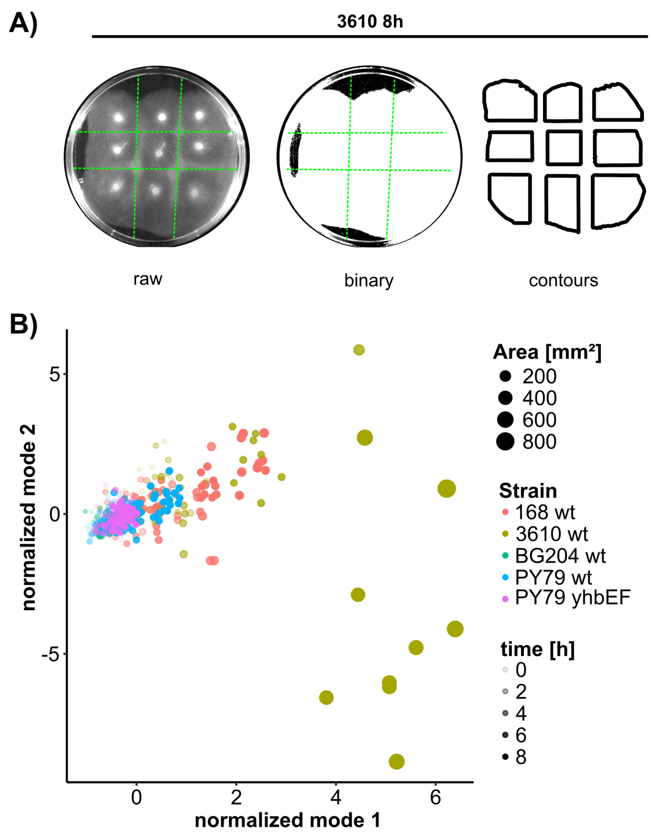 Biomedinformatics 02 00036 g003