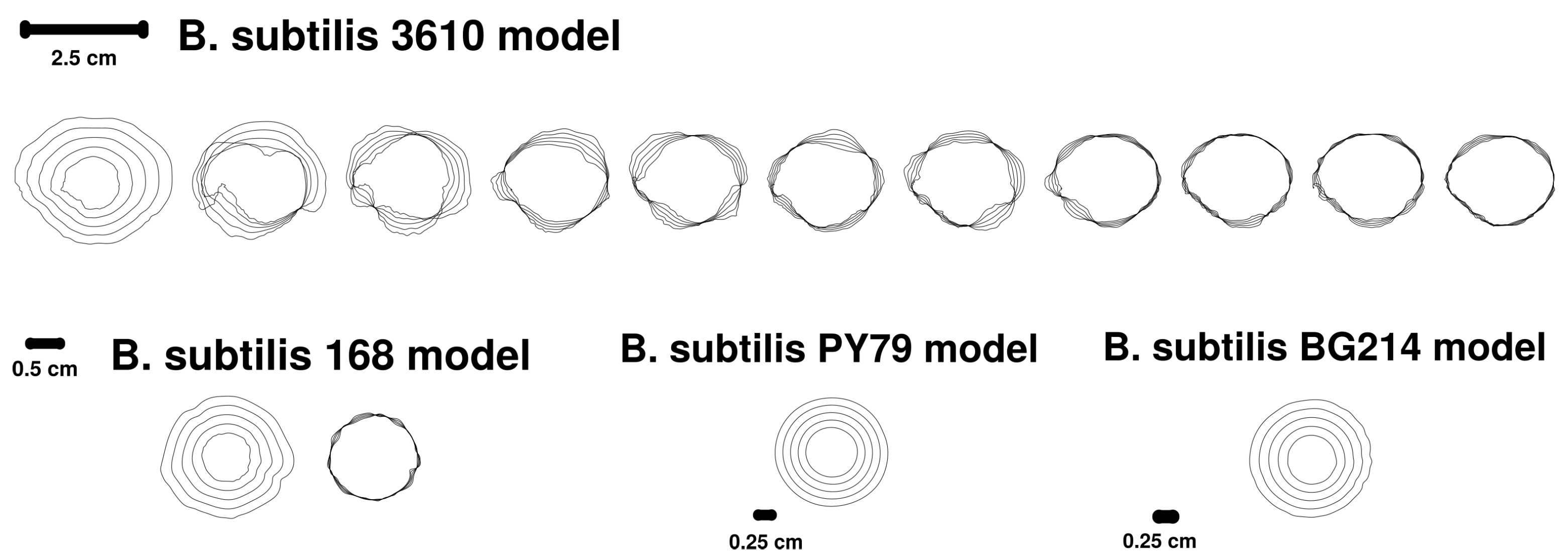 Biomedinformatics 02 00036 g006