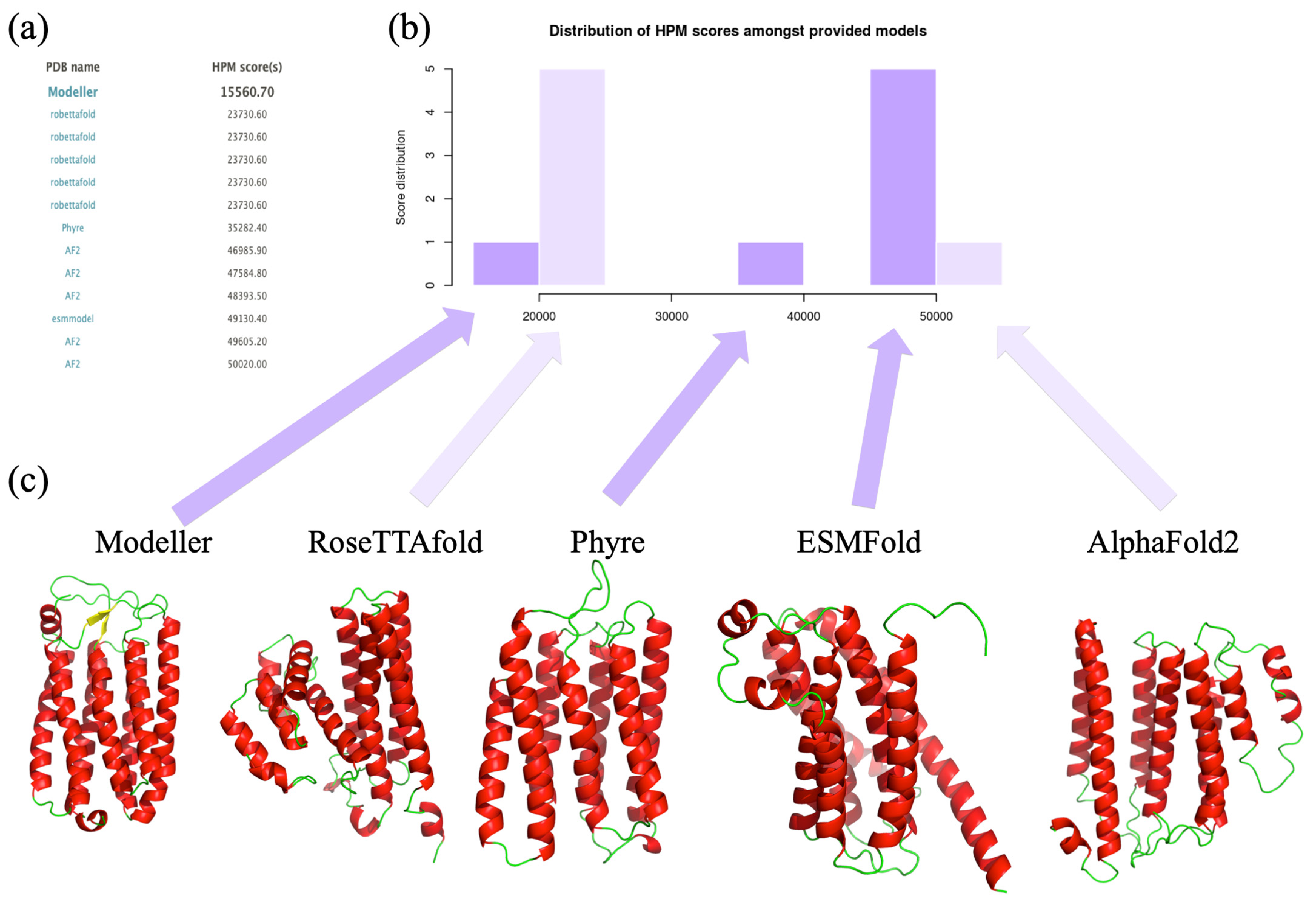 Biomedinformatics 03 00021 g006