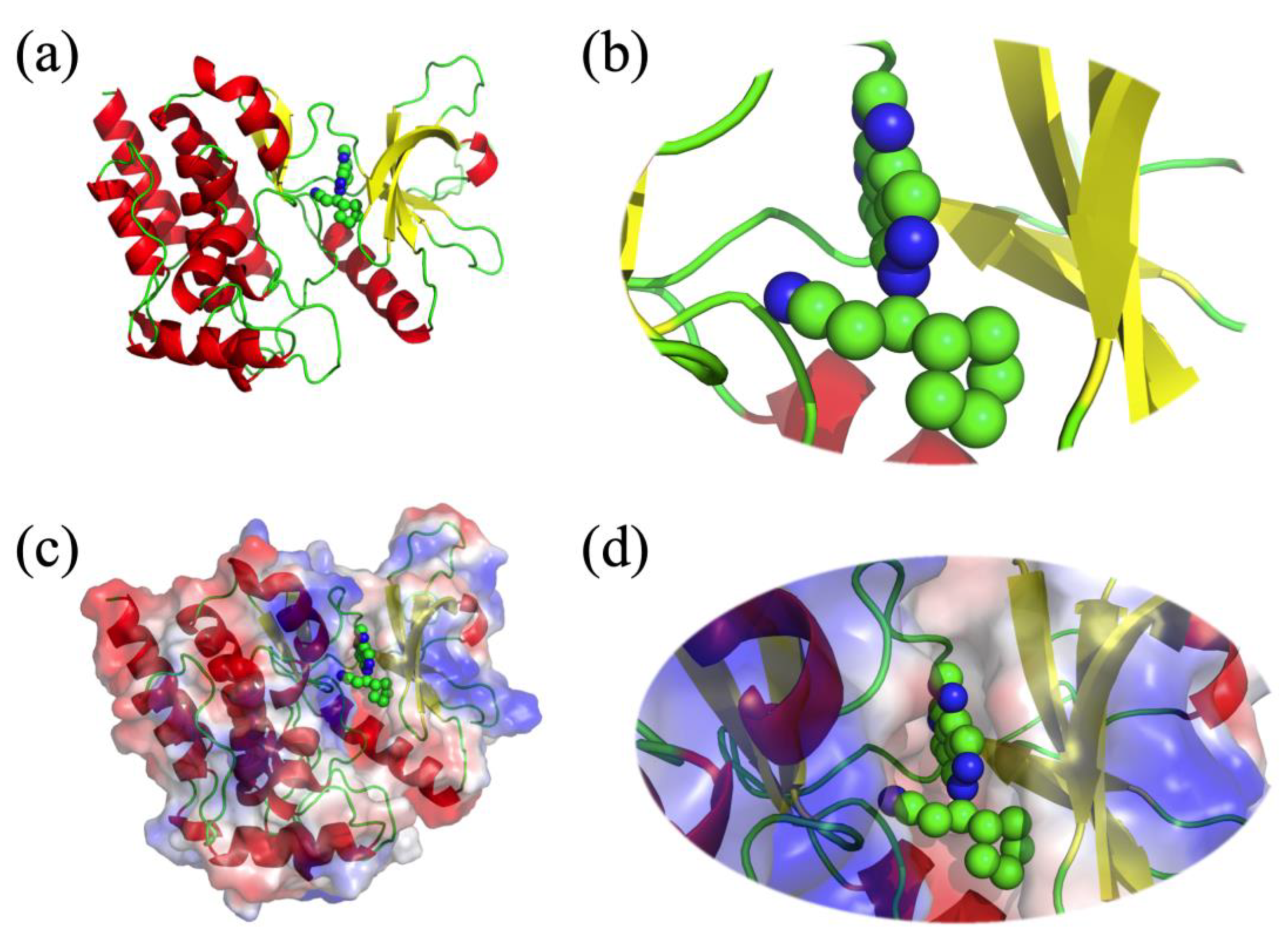 Biomedinformatics 03 00025 g001