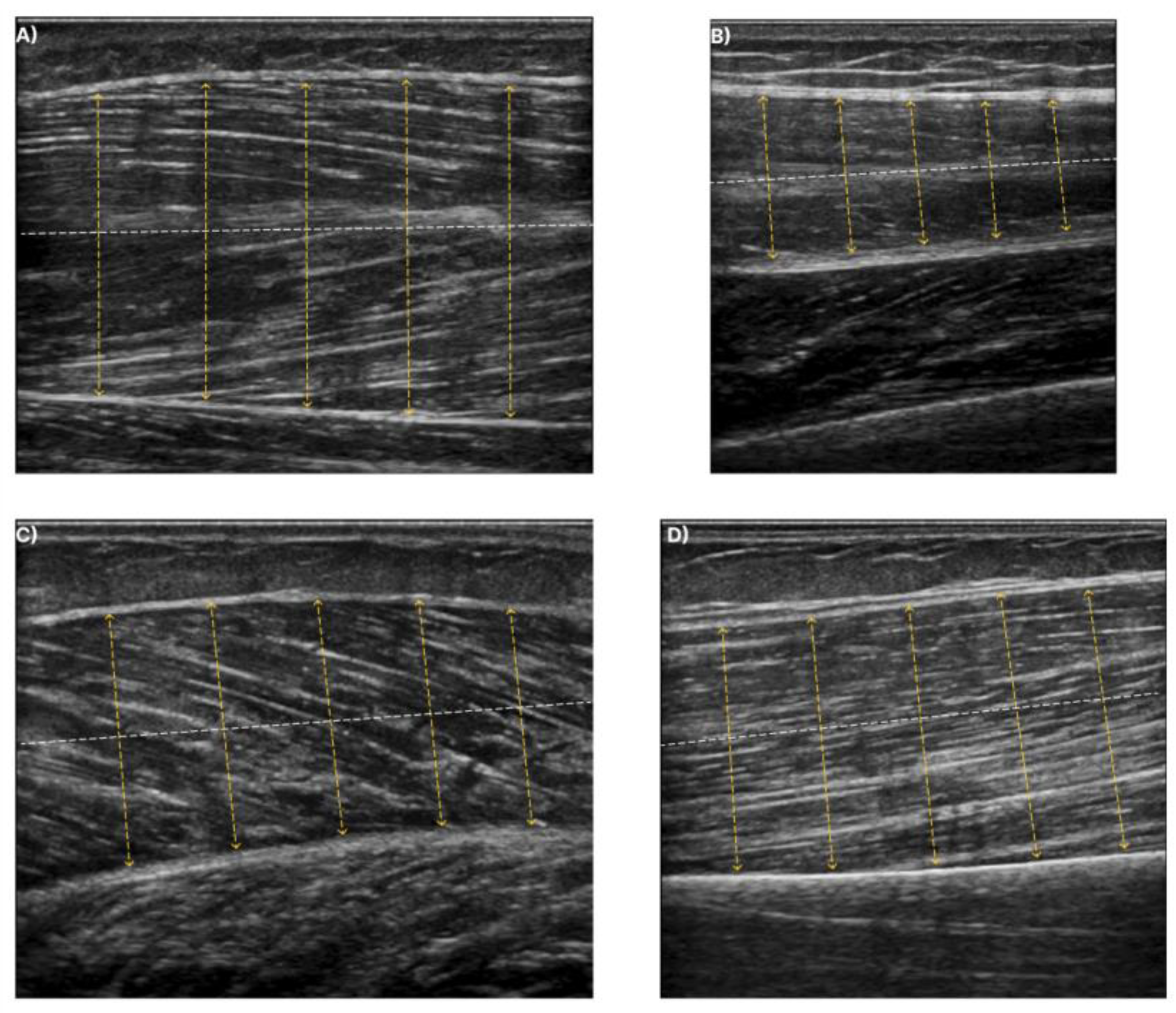 Biomedinformatics 03 00027 g003