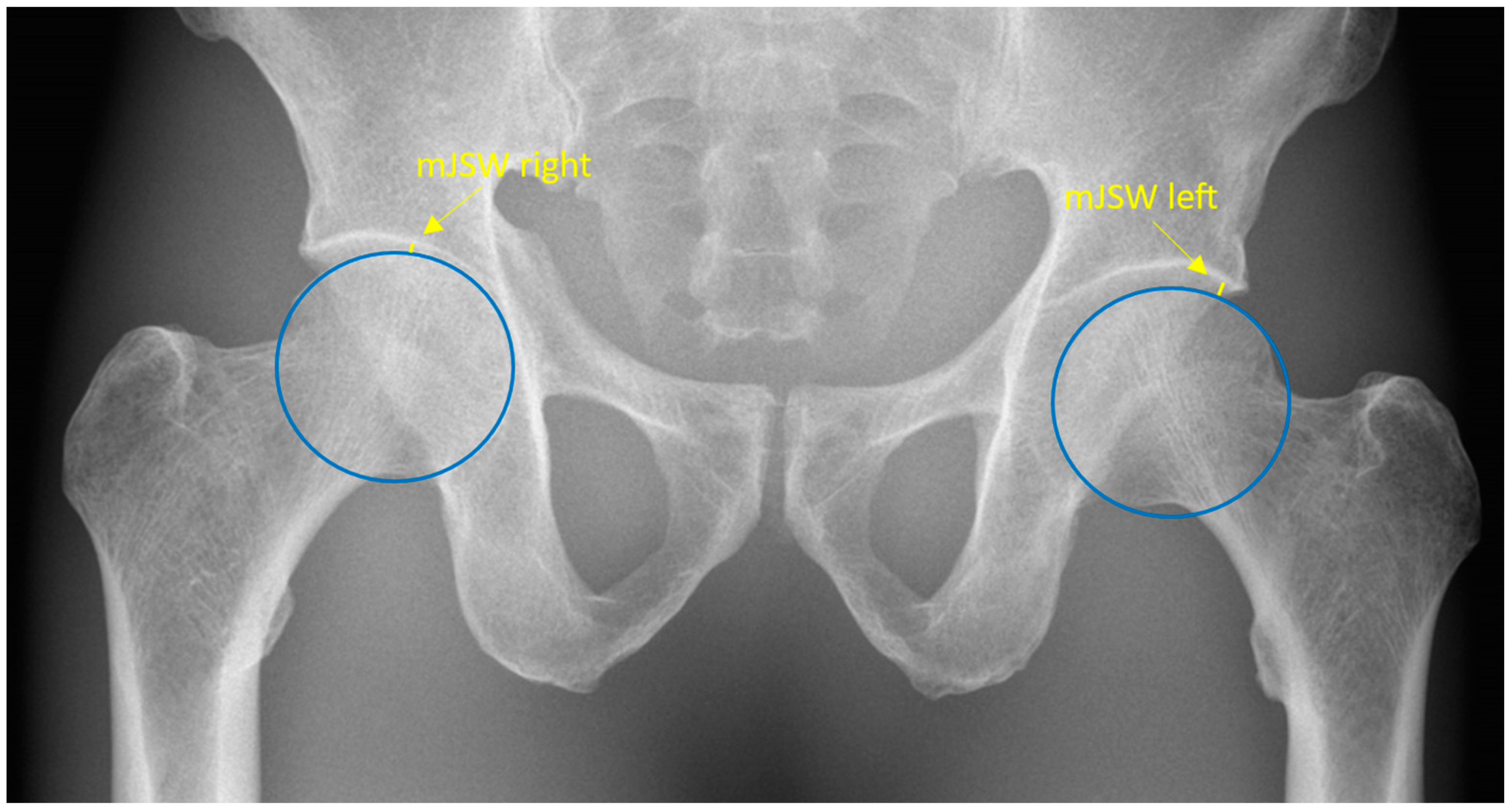 Biomedinformatics 03 00046 g001