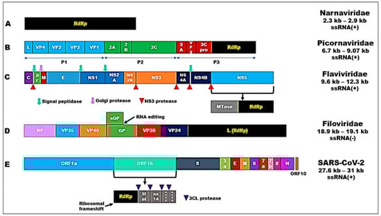 Biomedinformatics 03 00055 g001