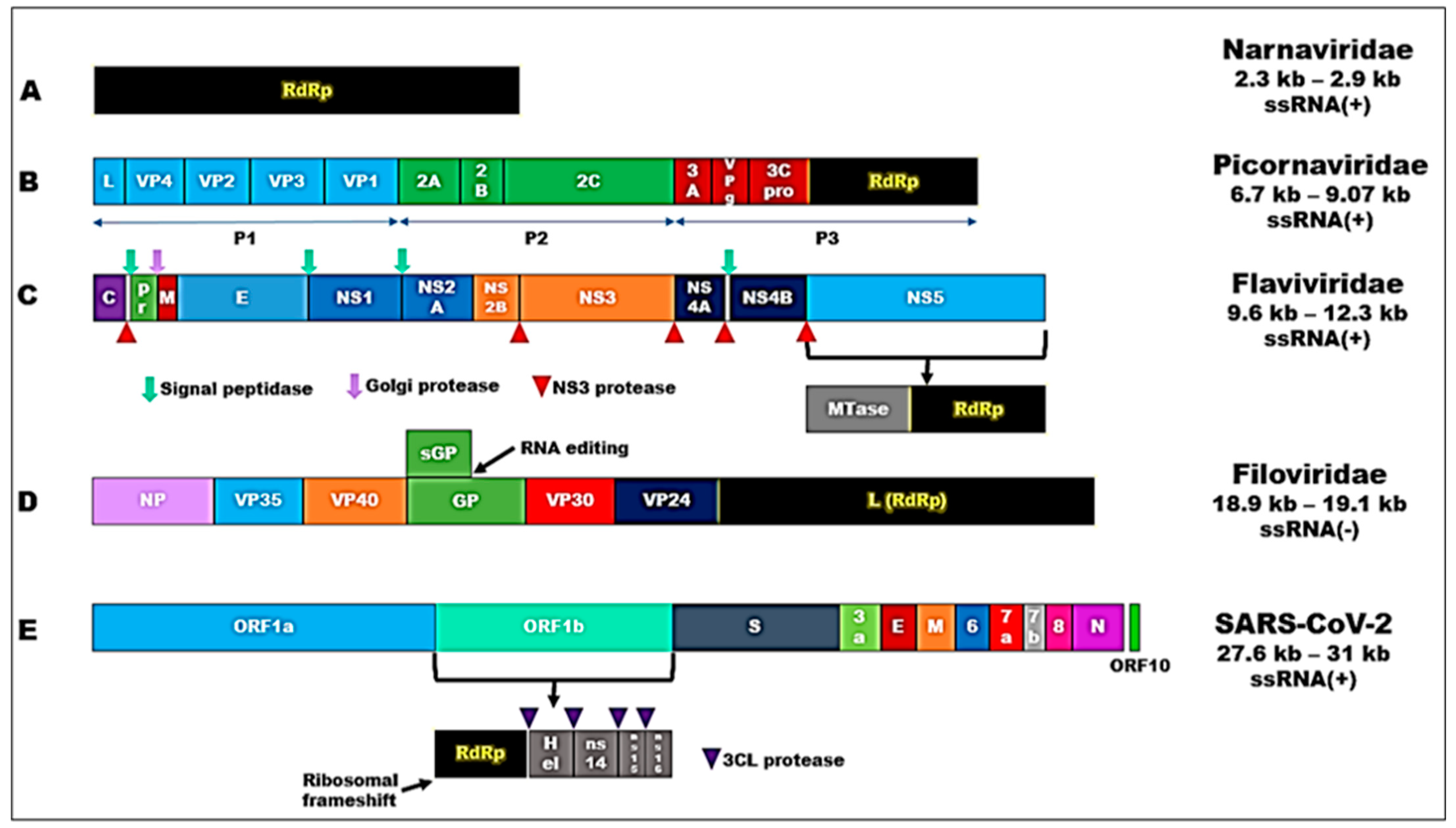 Biomedinformatics 03 00055 g001