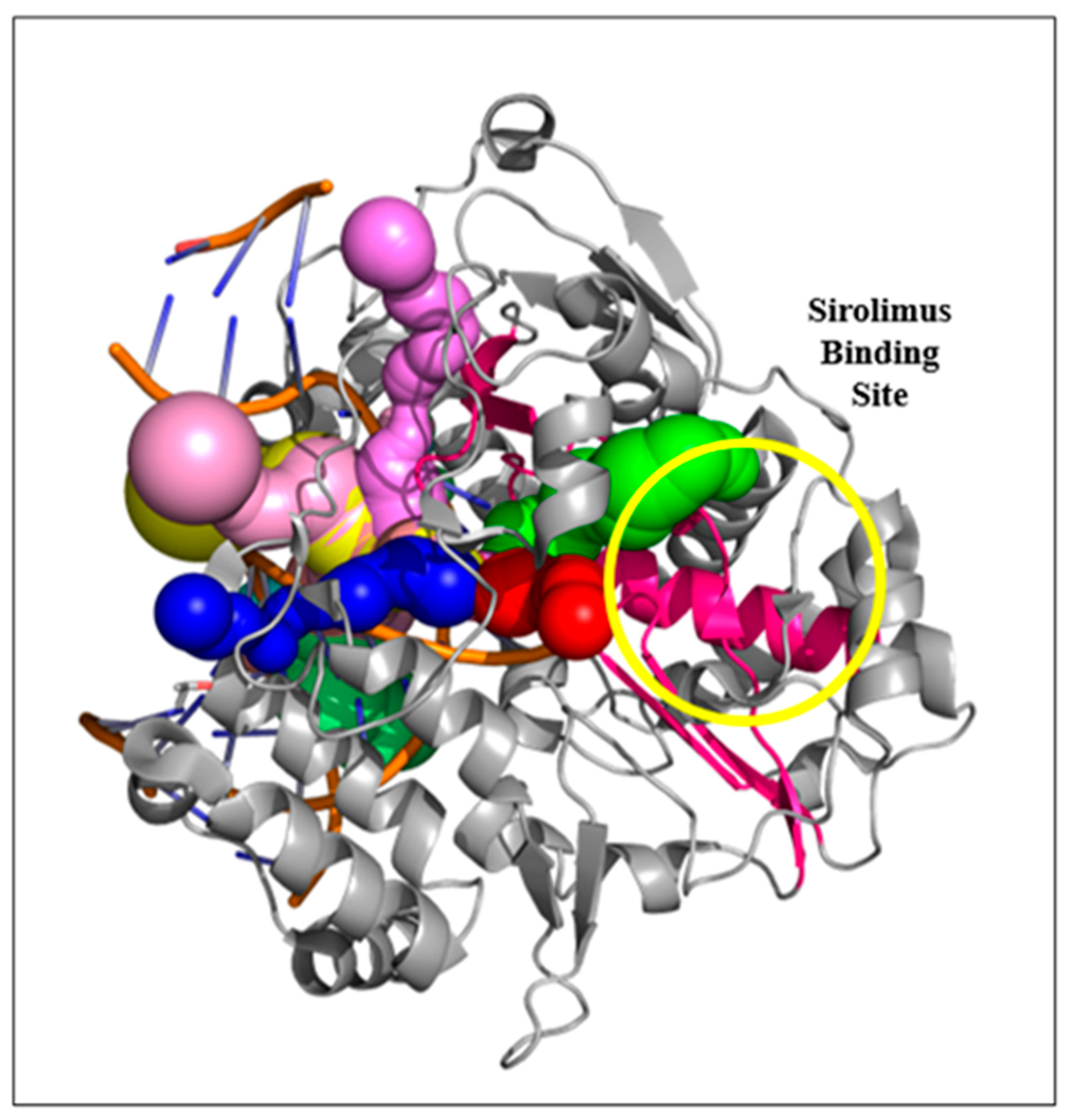 Biomedinformatics 03 00055 g013
