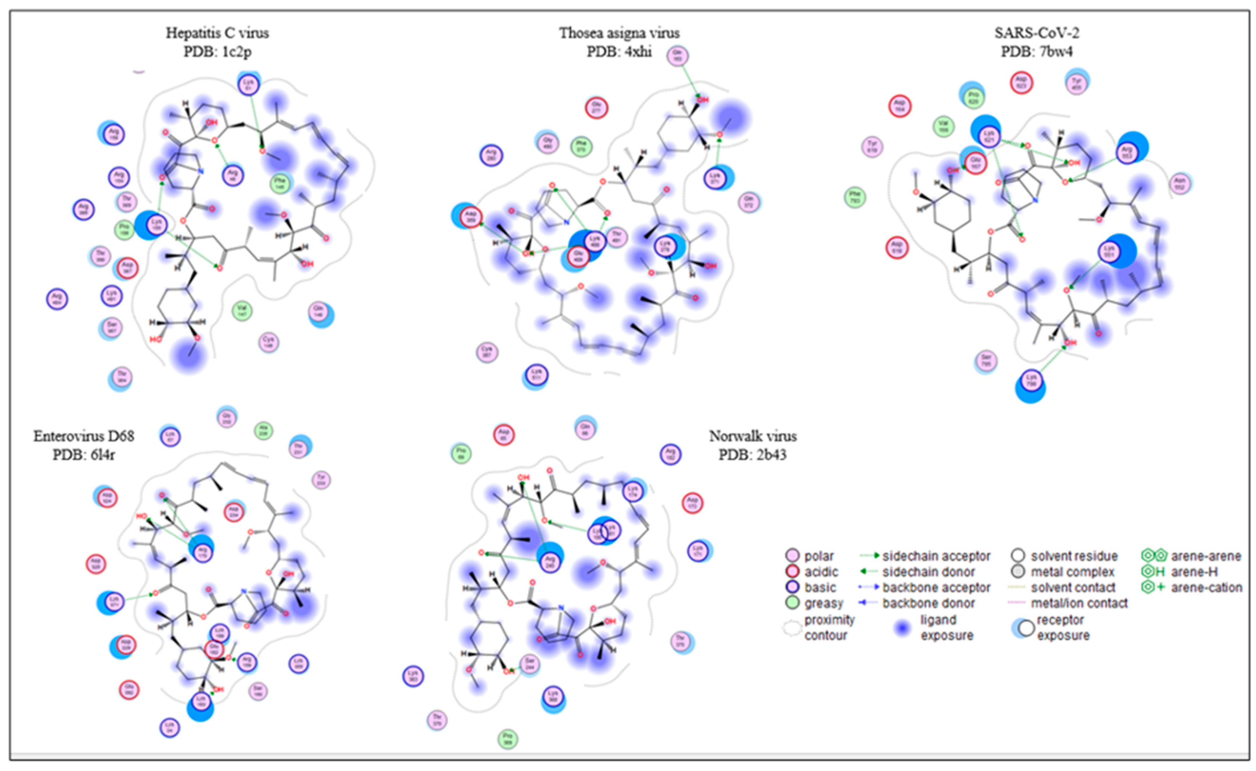 Biomedinformatics 03 00055 g015