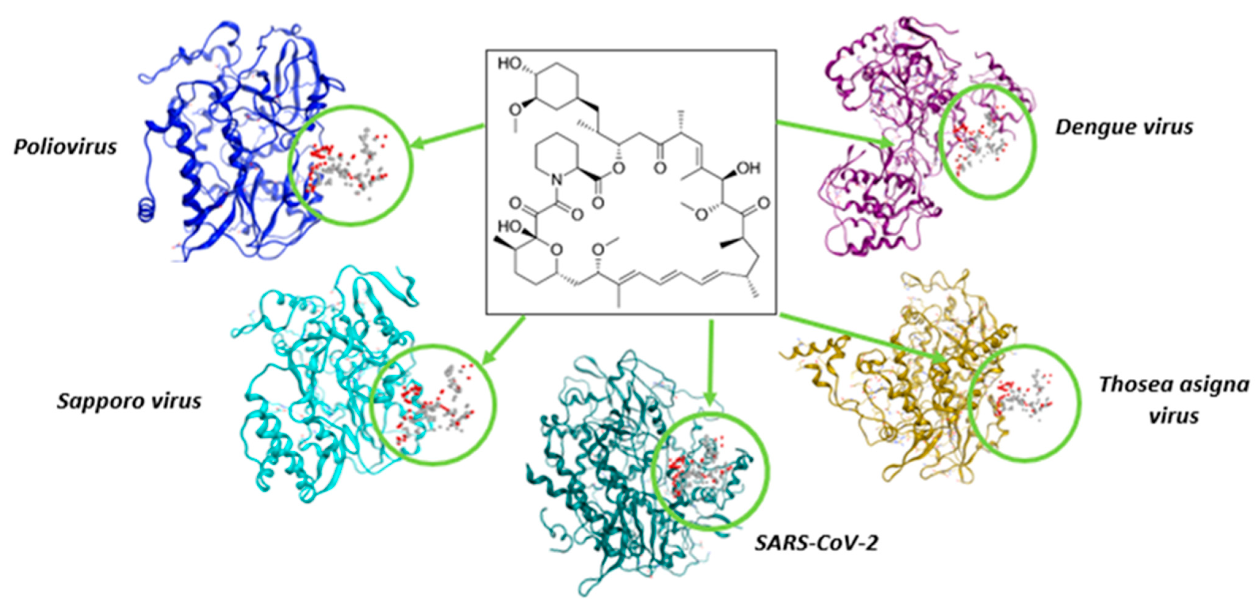 Biomedinformatics 03 00055 g016